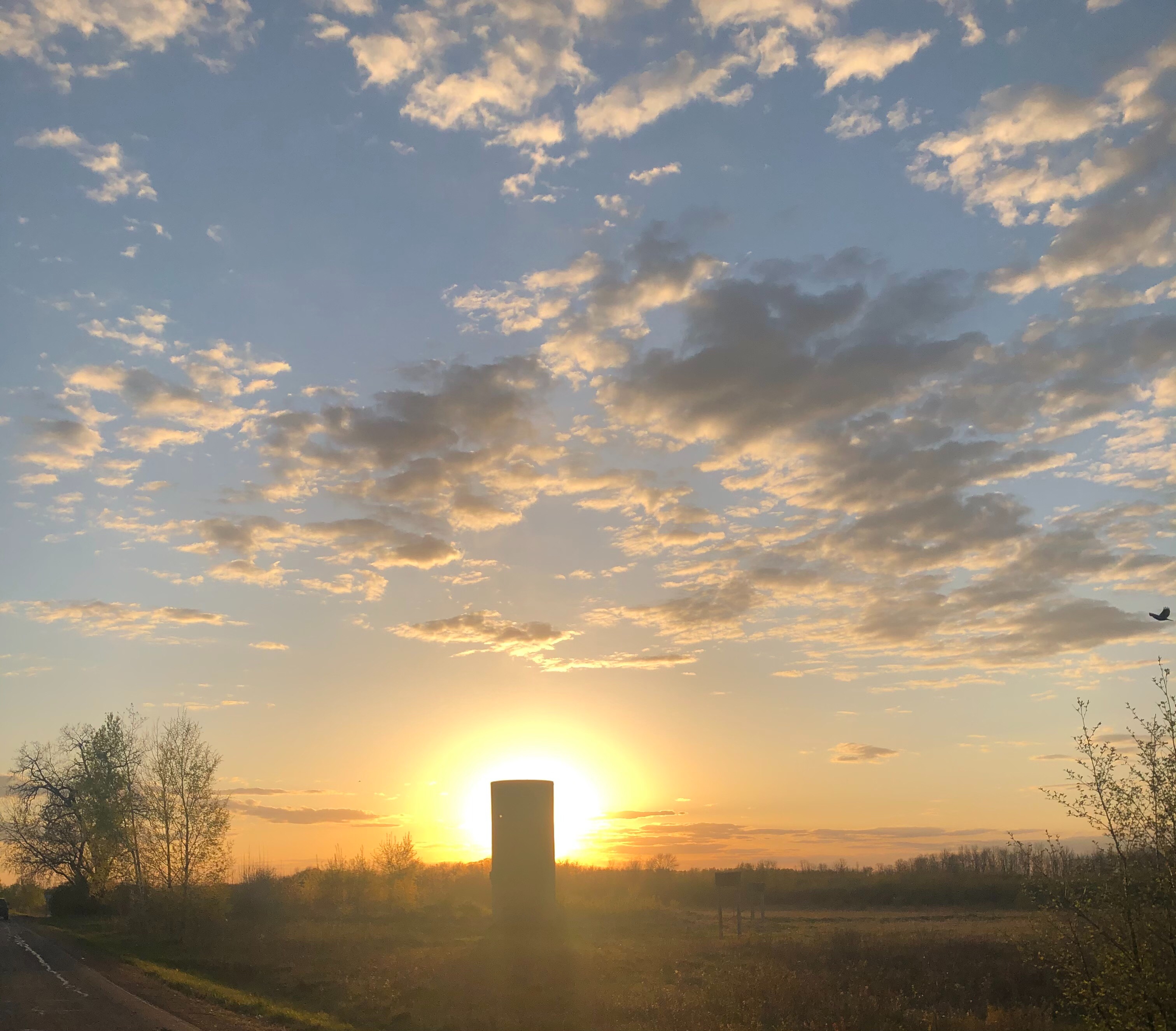 Community photo entitled  by Param Sharma on 05/12/2021 at Marshfield,WI,USA