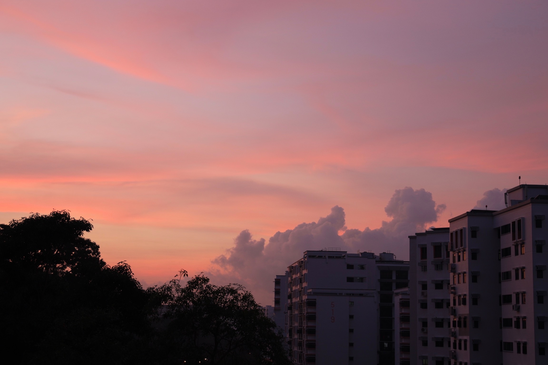 Community photo entitled  by Gerald Tan on 05/14/2021 at Woodlands, Singapore