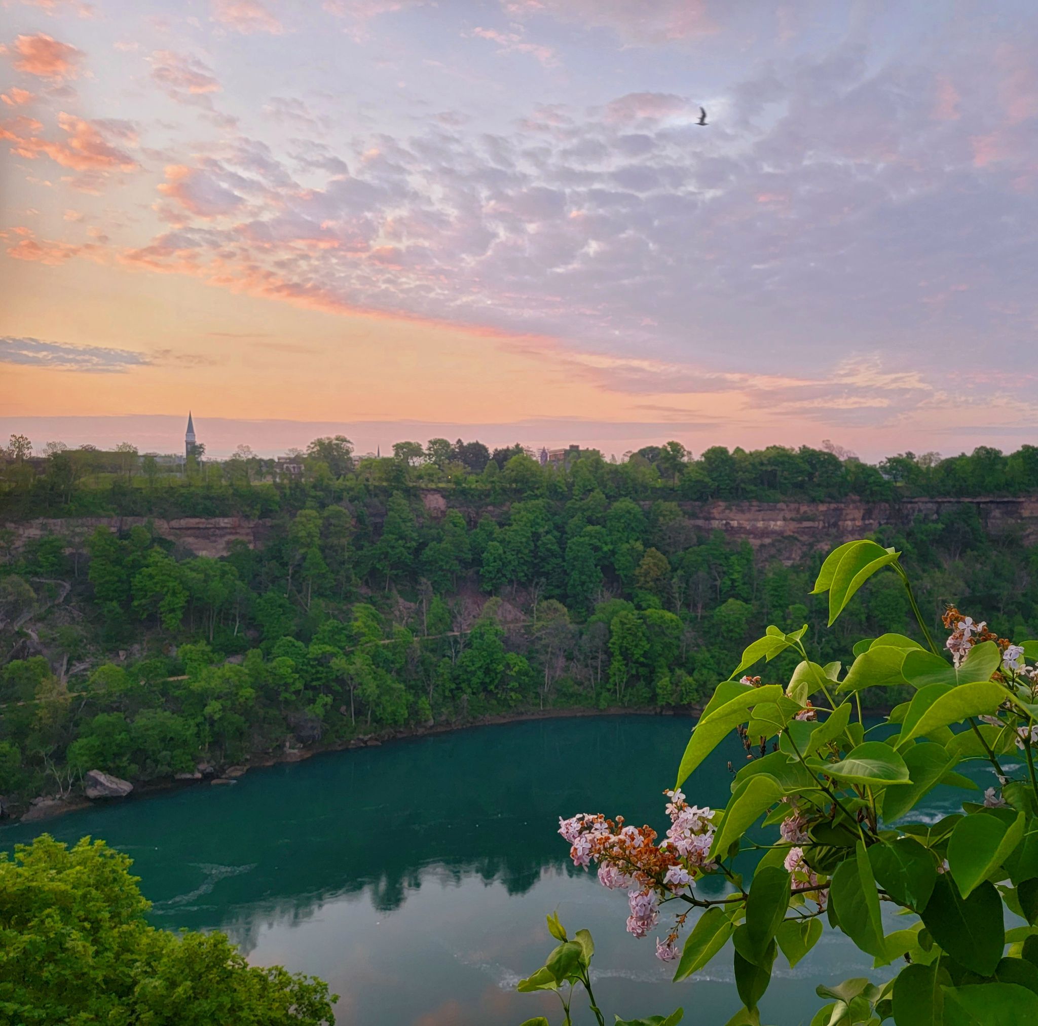 Community photo by Kat Goldwarg | Niagara Falls, ON, Canada.