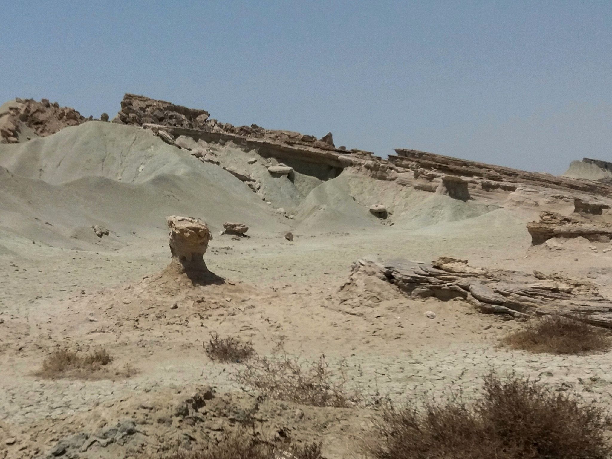 Community photo entitled  by Hassan Dadashi . arani on 07/08/2021 at Qeshm . Iran