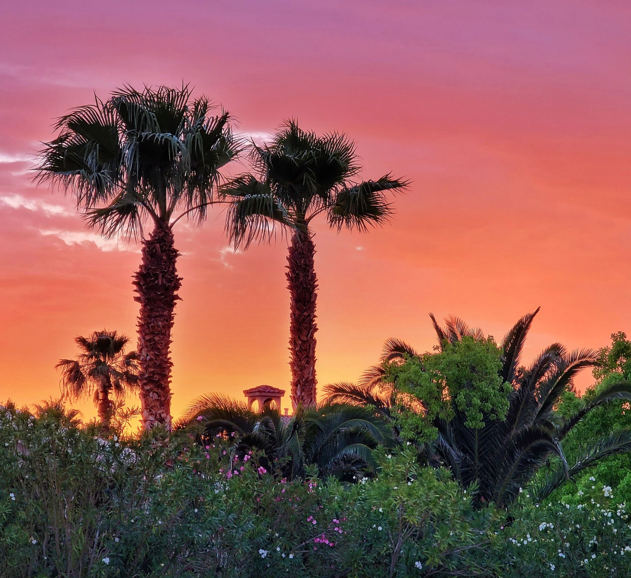 Community photo entitled  by John Solvie on 07/03/2021 at Las Vegas, Nevada