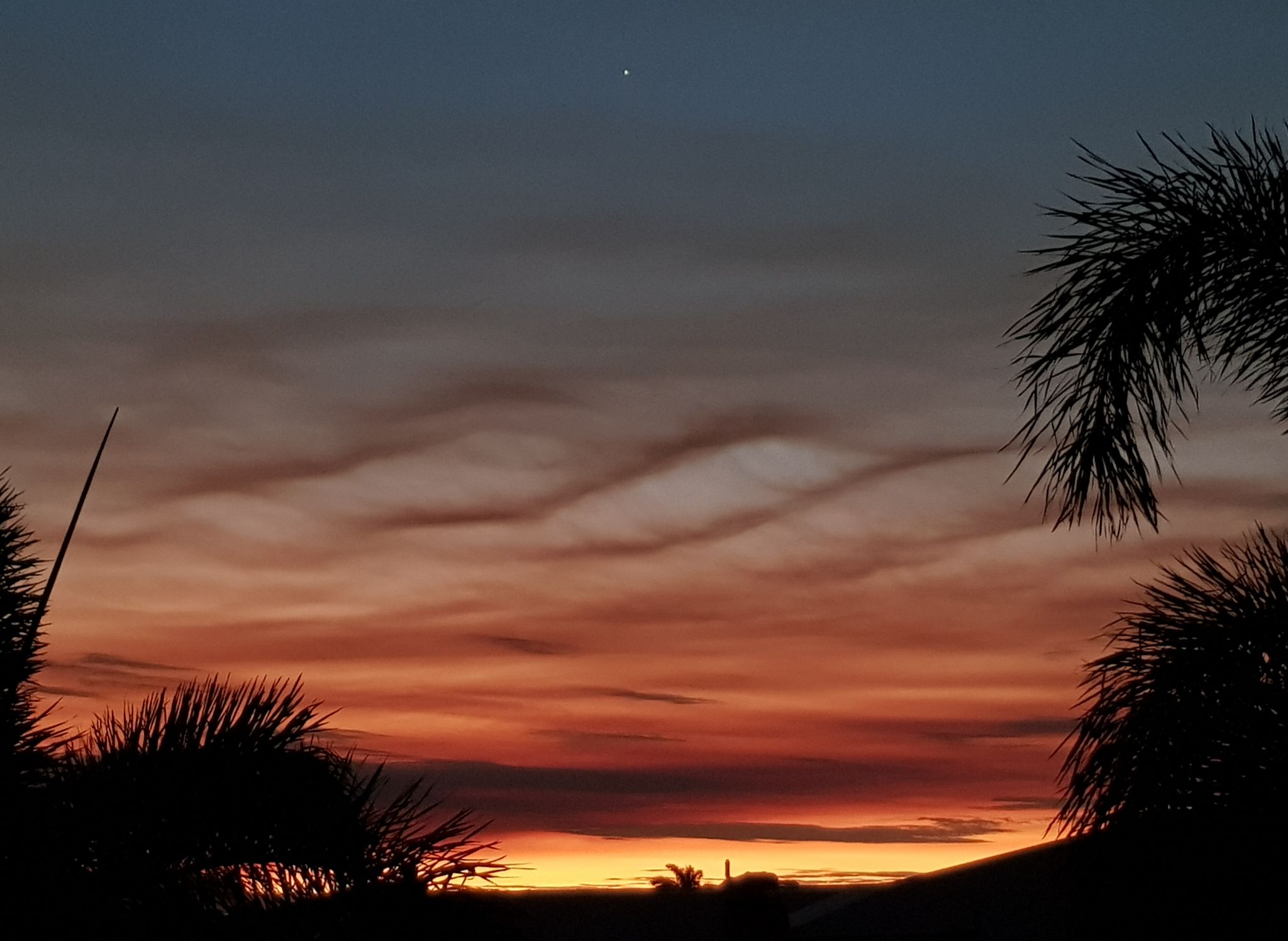 Community photo entitled  by Carly Randall on 07/10/2021 at Townsville, Queensland, Australia