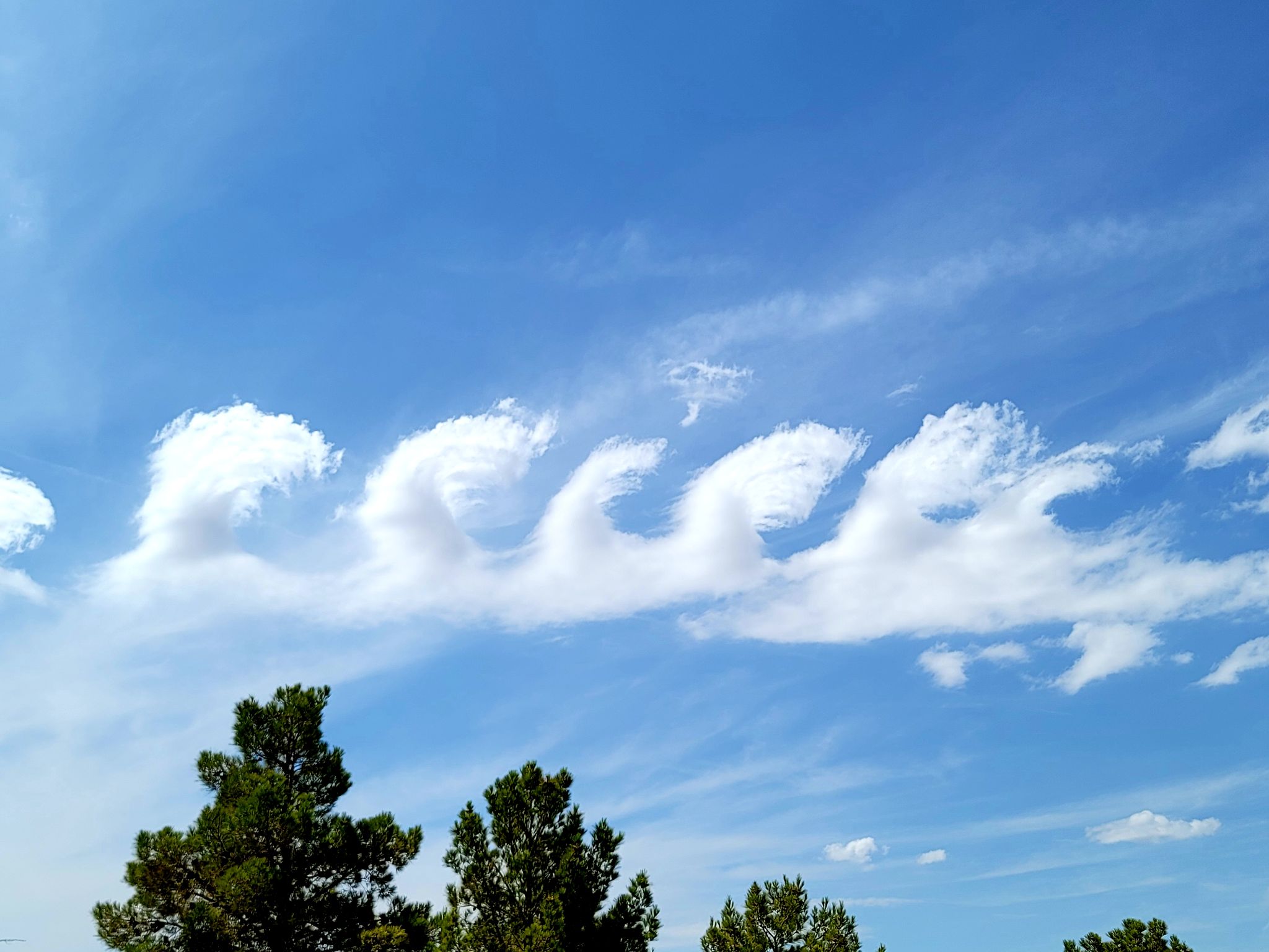 Community photo by Andrew Jackson | Boulder City, Nevada