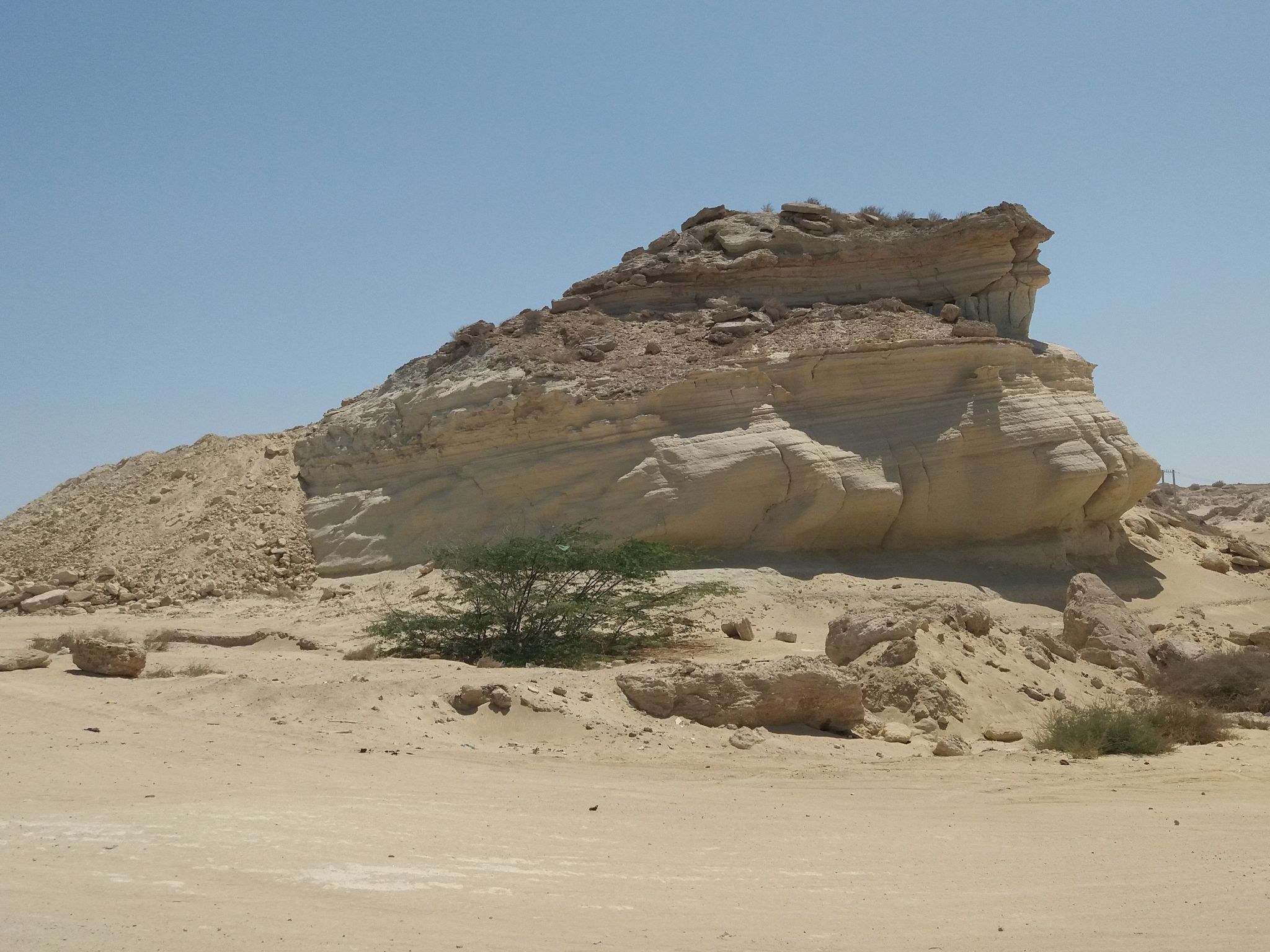 Community photo entitled  by Hassan Dadashi . arani on 07/03/2021 at Qeshm . Iran