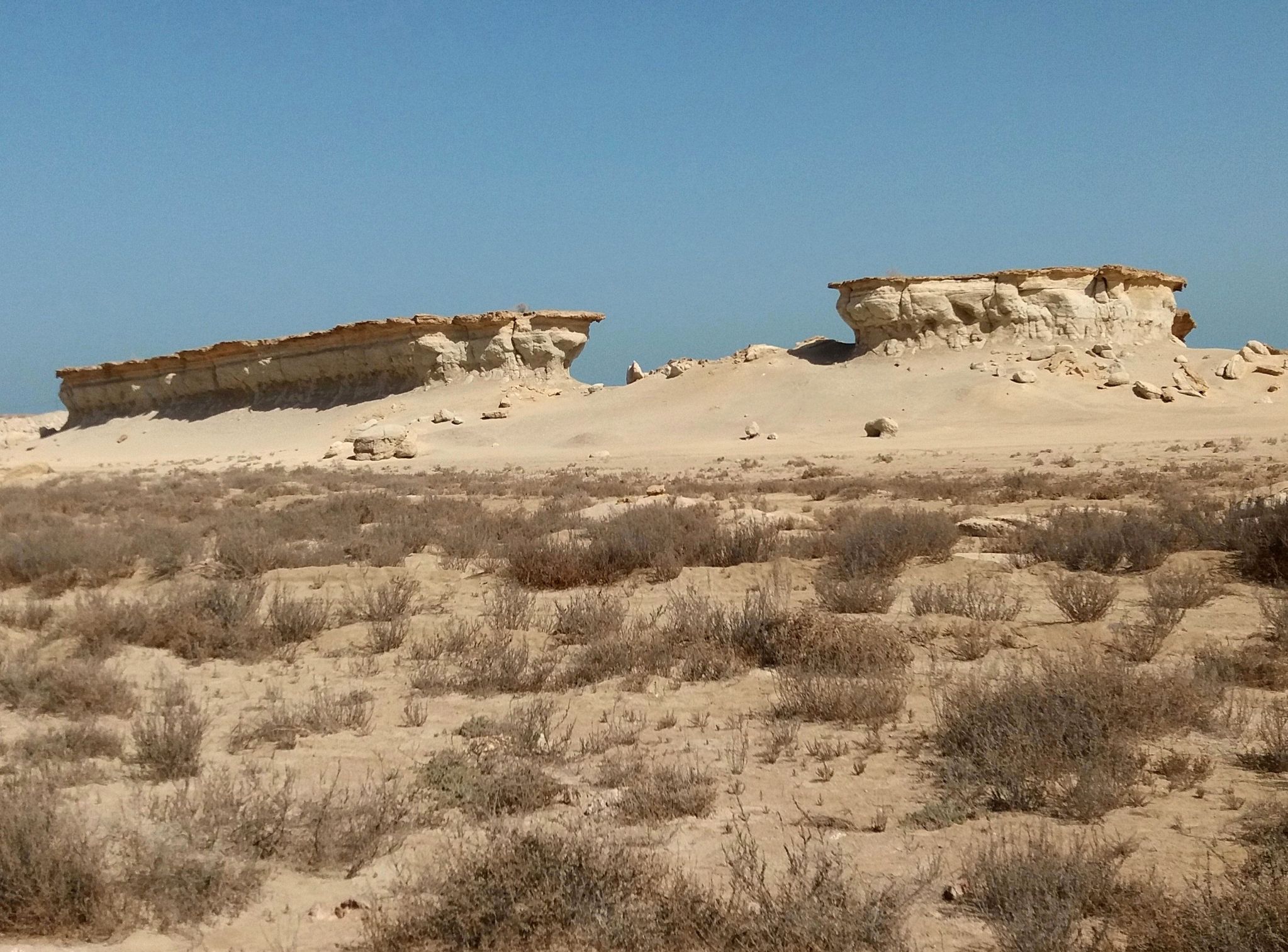 Community photo entitled  by Hassan Dadashi . arani on 07/04/2021 at Qeshm . Iran