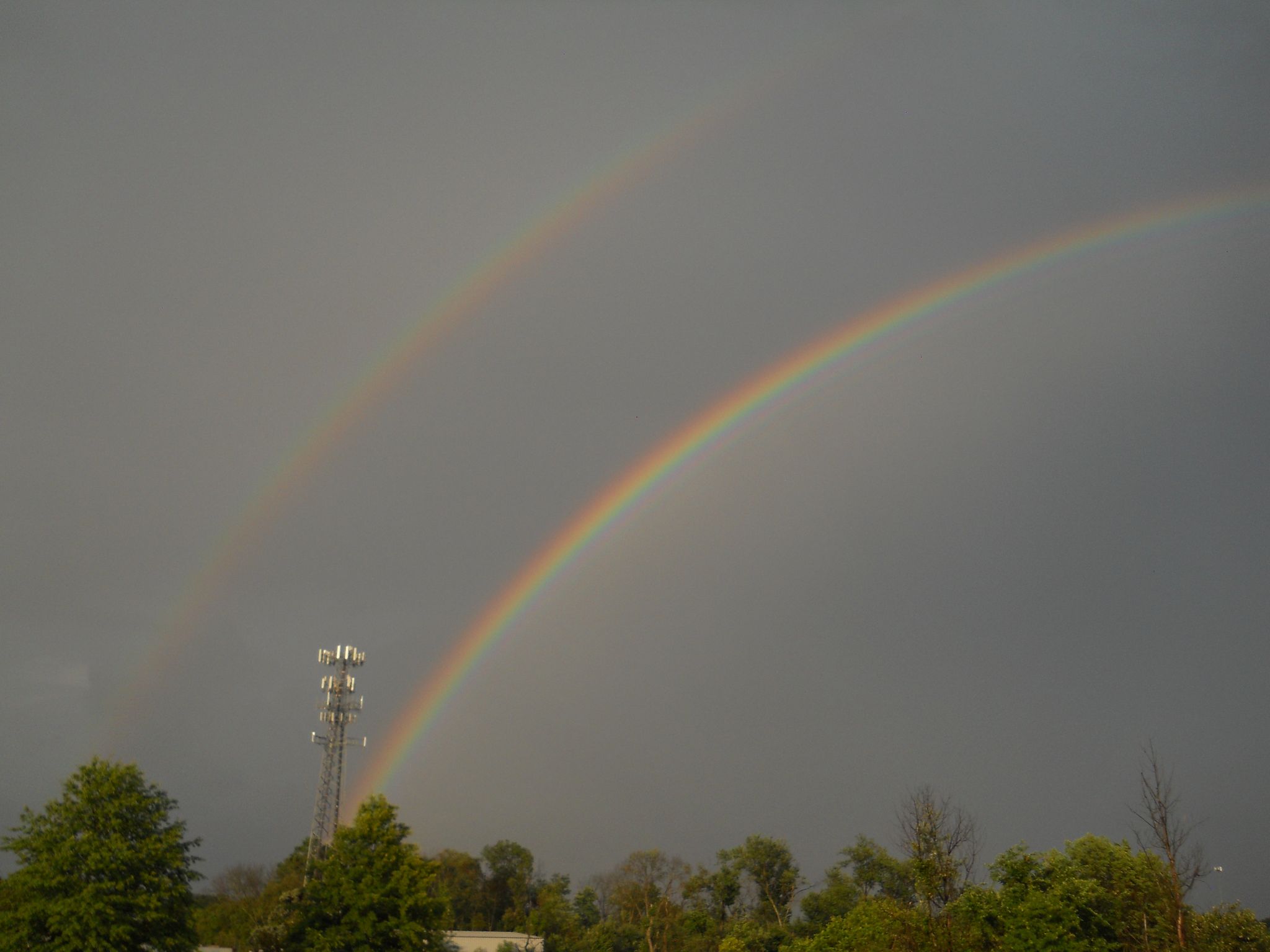 Community photo entitled  by TIM GEHMAN on 07/03/2021 at Telford, PA United States