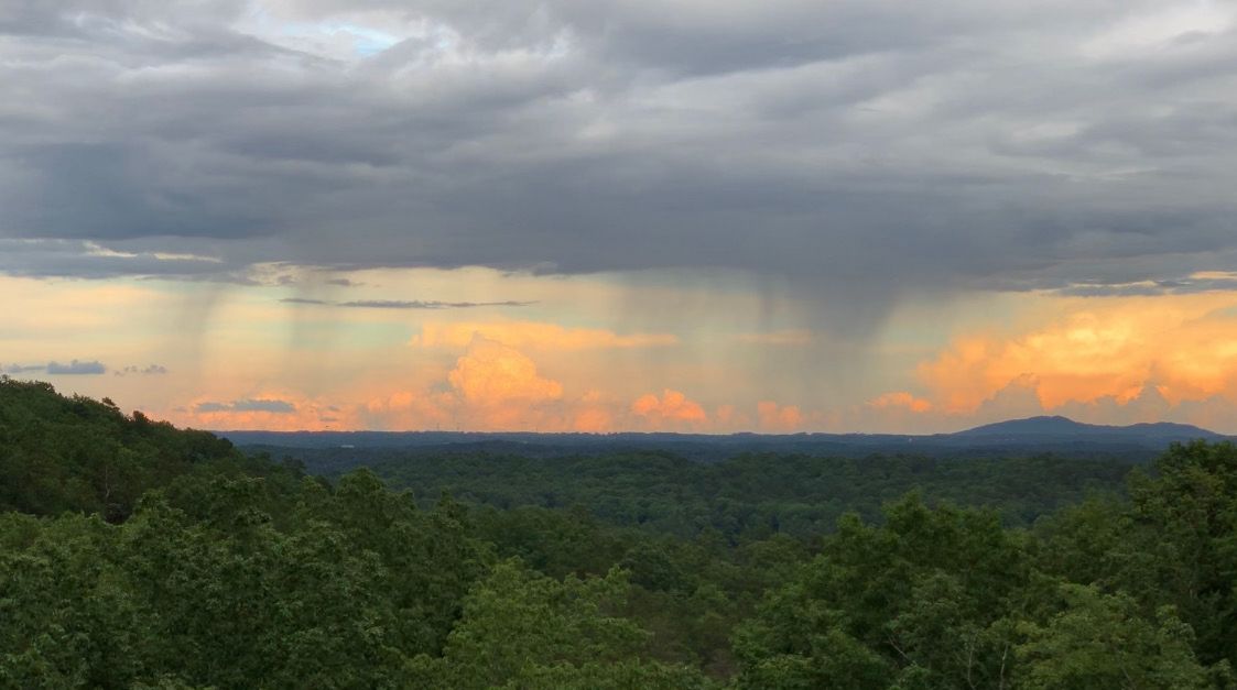 Community photo entitled  by Nancy Reeves on 07/01/2021 at Cartersville, GA  USA