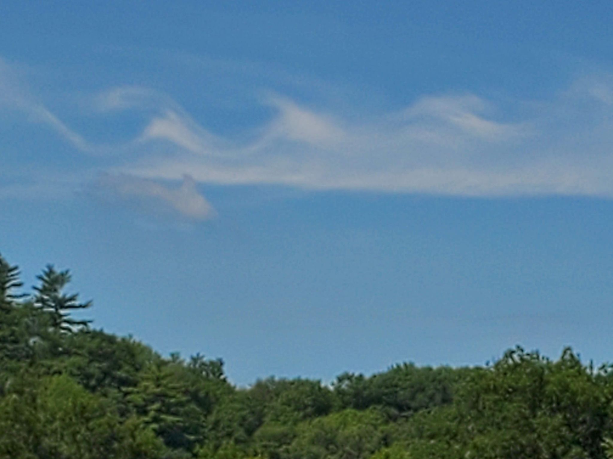 Community photo entitled  by Greg Hanlon on 08/20/2021 at Lyme, NH