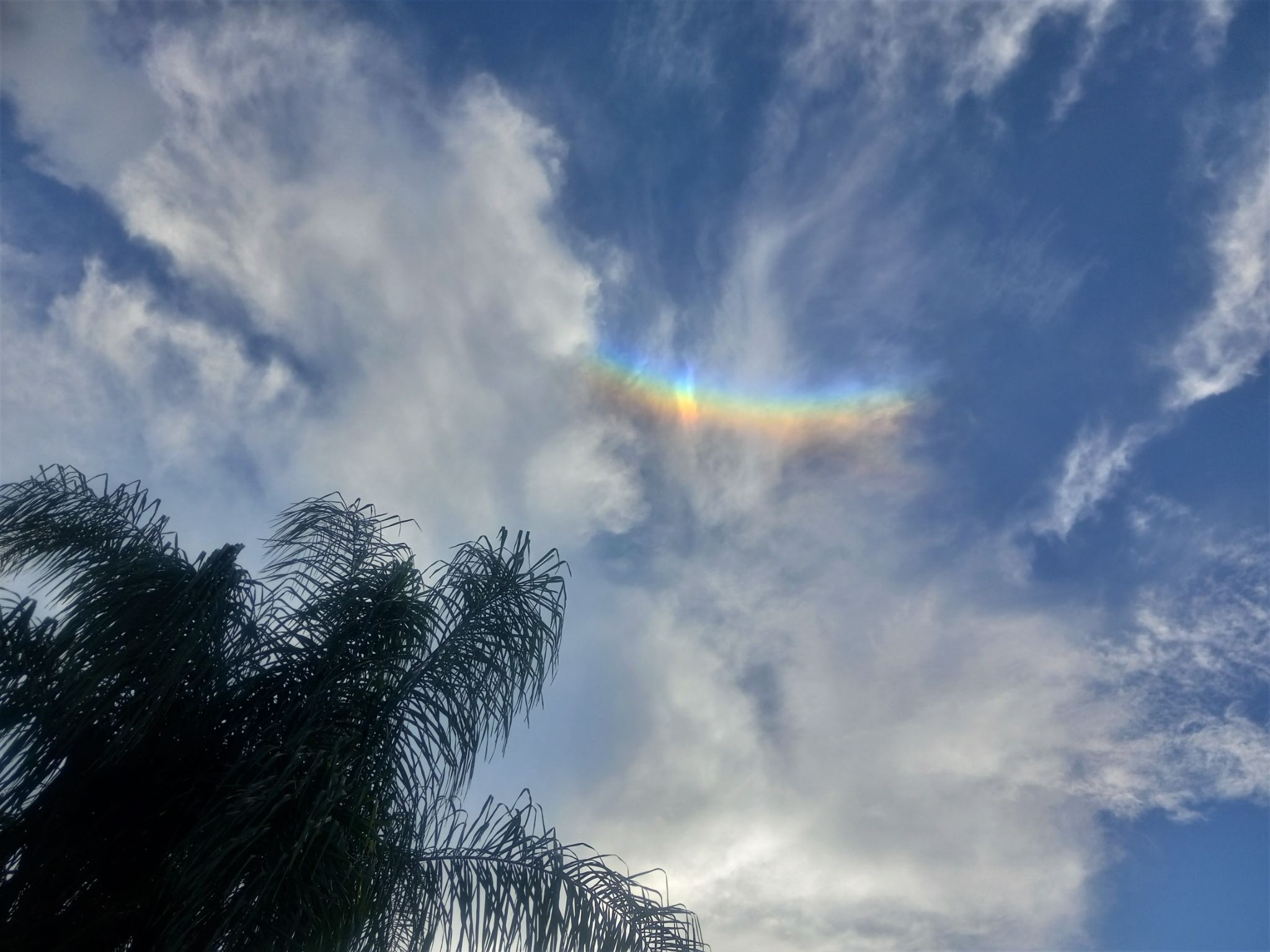 Community photo by Barbi Kiser | Safety Harbor, FL, USA