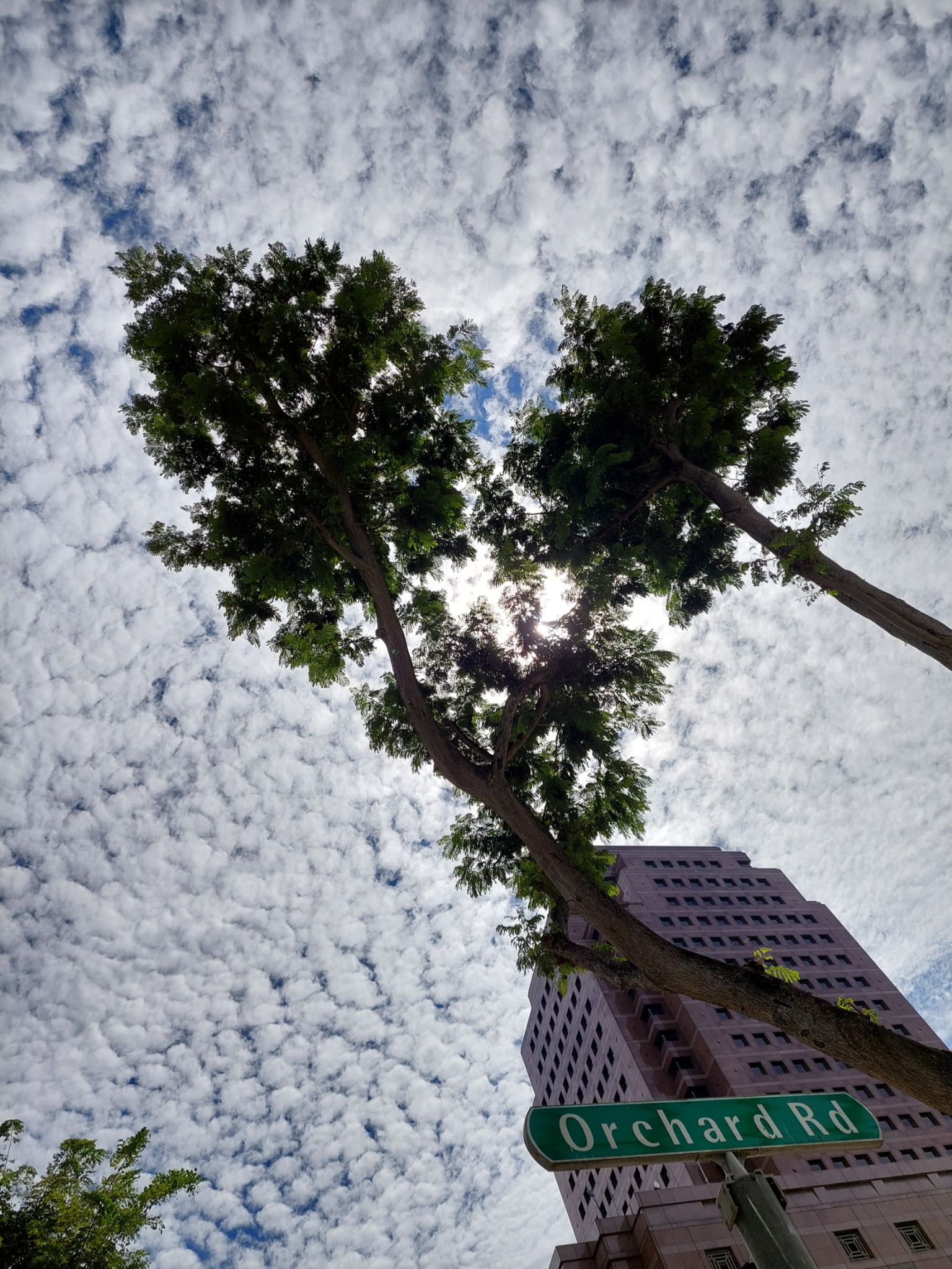 Community photo by Chessa Tan | Orchard Road, Singapore