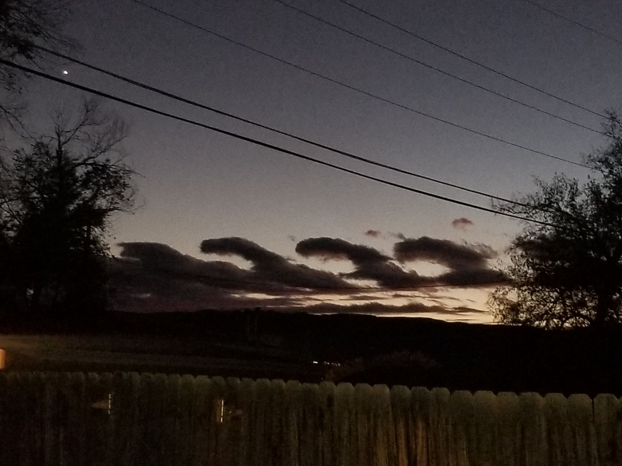 Community photo entitled  by Laurie Purcell on 10/27/2021 at Grand Junction CO