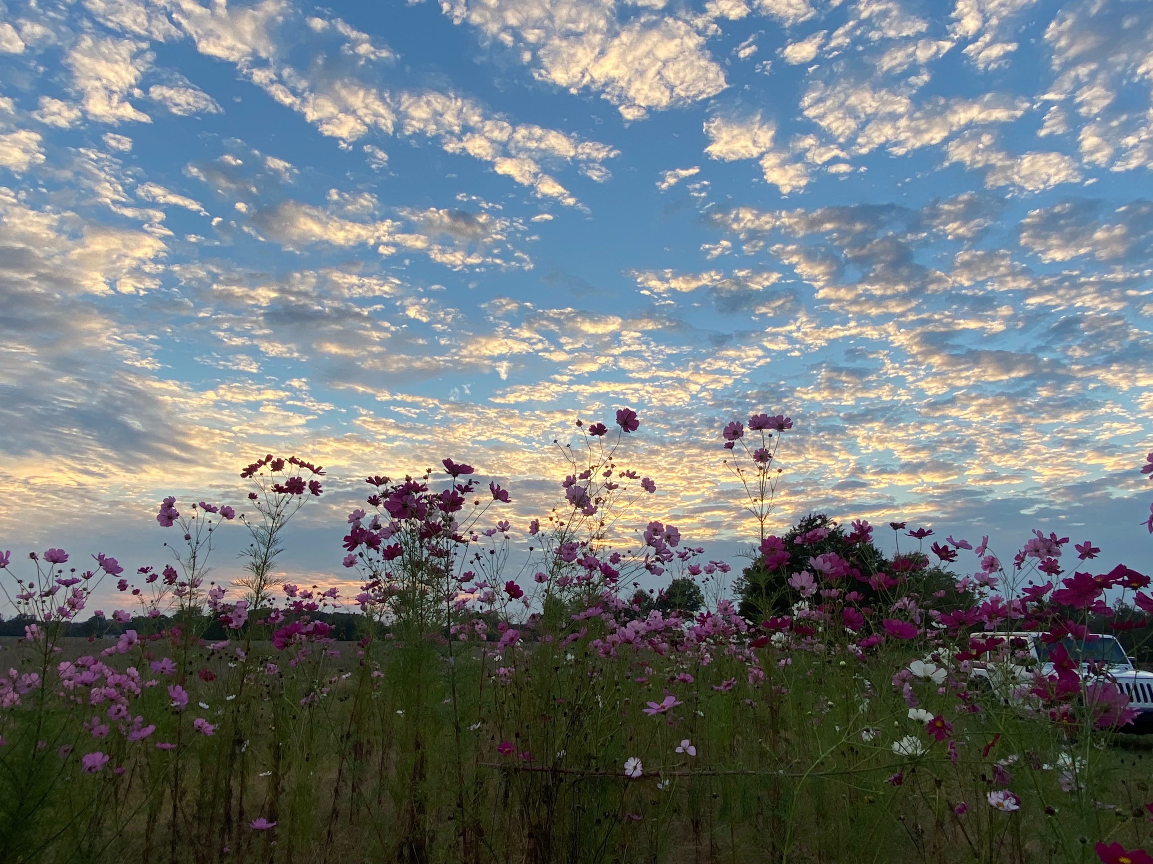 Community photo by Emily Turner | Southern Indiana, USA