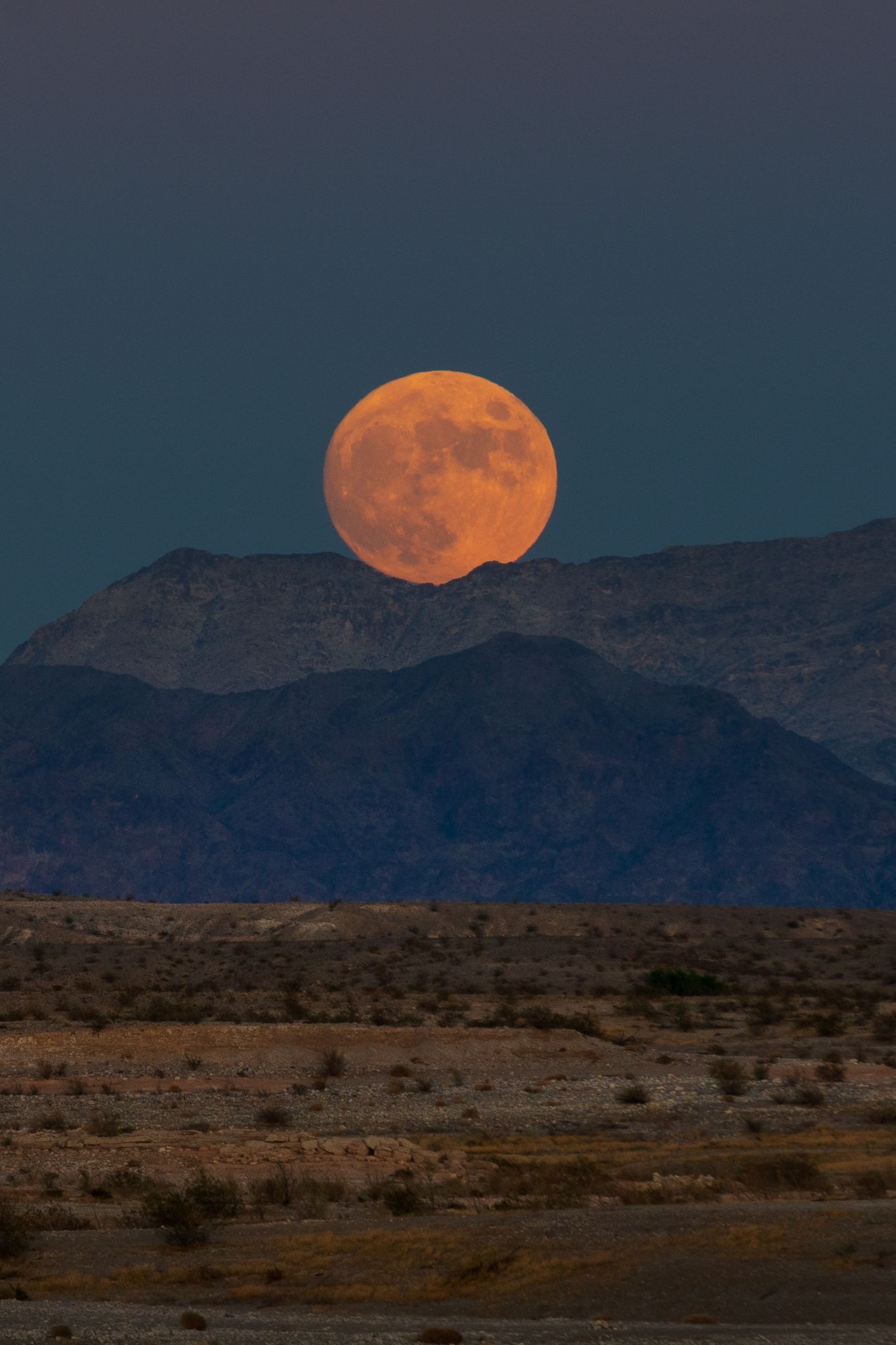 Community photo entitled  by Michele deGhuee on 10/19/2021 at Government Wash, Lake Mead National Recreational Area, Nevada, USA