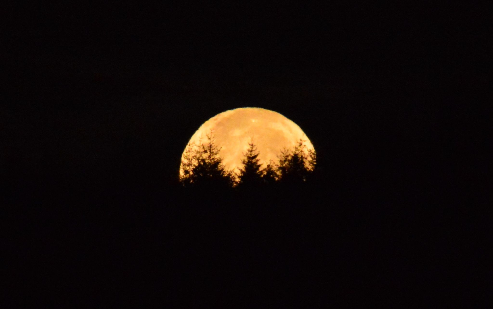 Community photo by Rhonda Black | Reedsport, Oregon USA