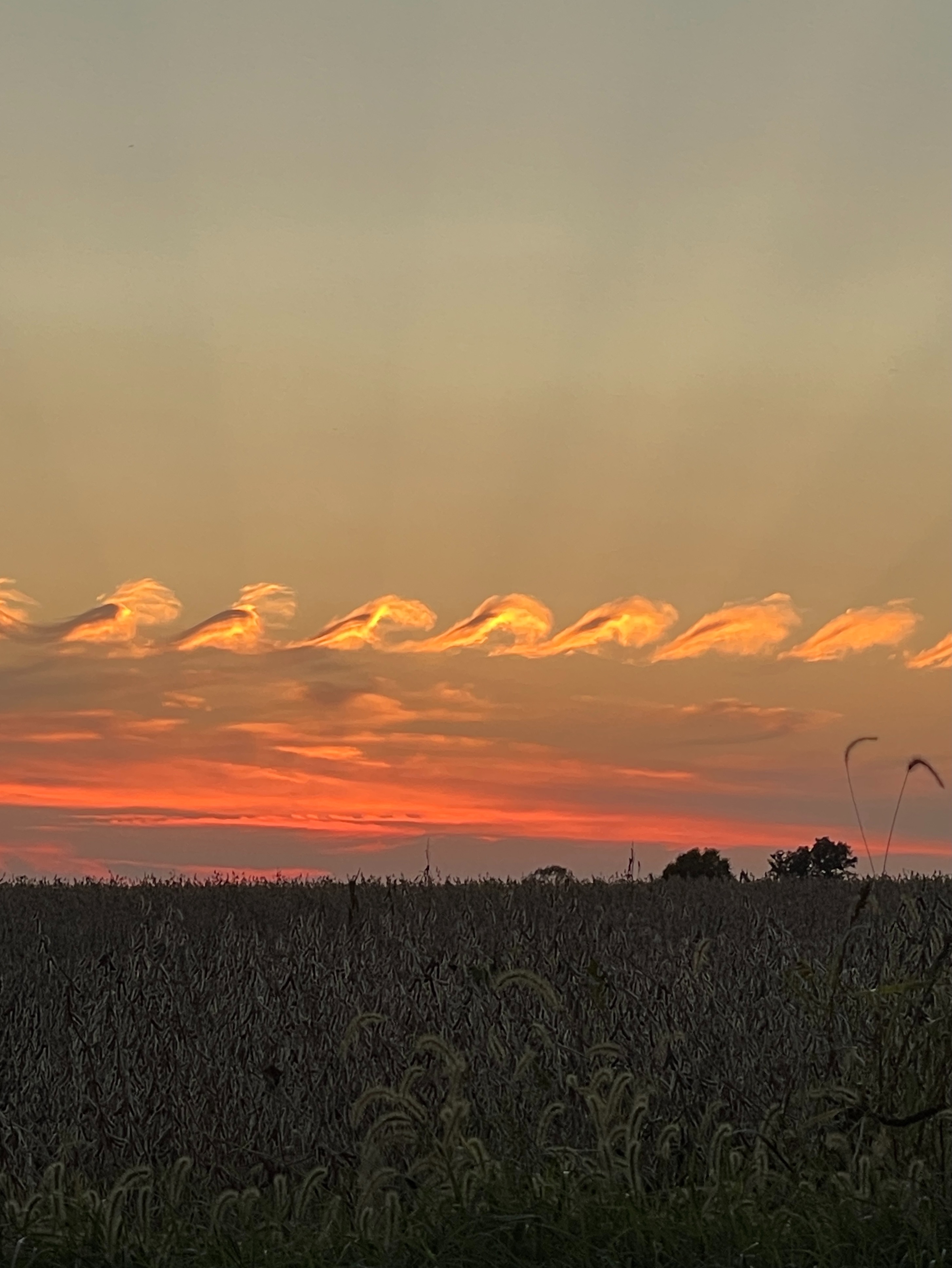 Community photo entitled  by Jan Irons on 10/08/2021 at Westerveld, Illinois