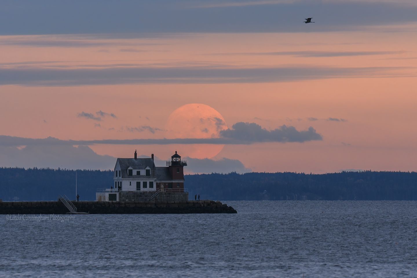 Community photo entitled  by Linda Cunningham on 10/18/2021 at Rockland, Maine, USA