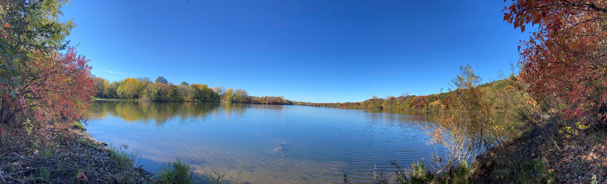 Community photo entitled  by Asha Prasad on 10/23/2021 at Eastern Saint Paul, MN