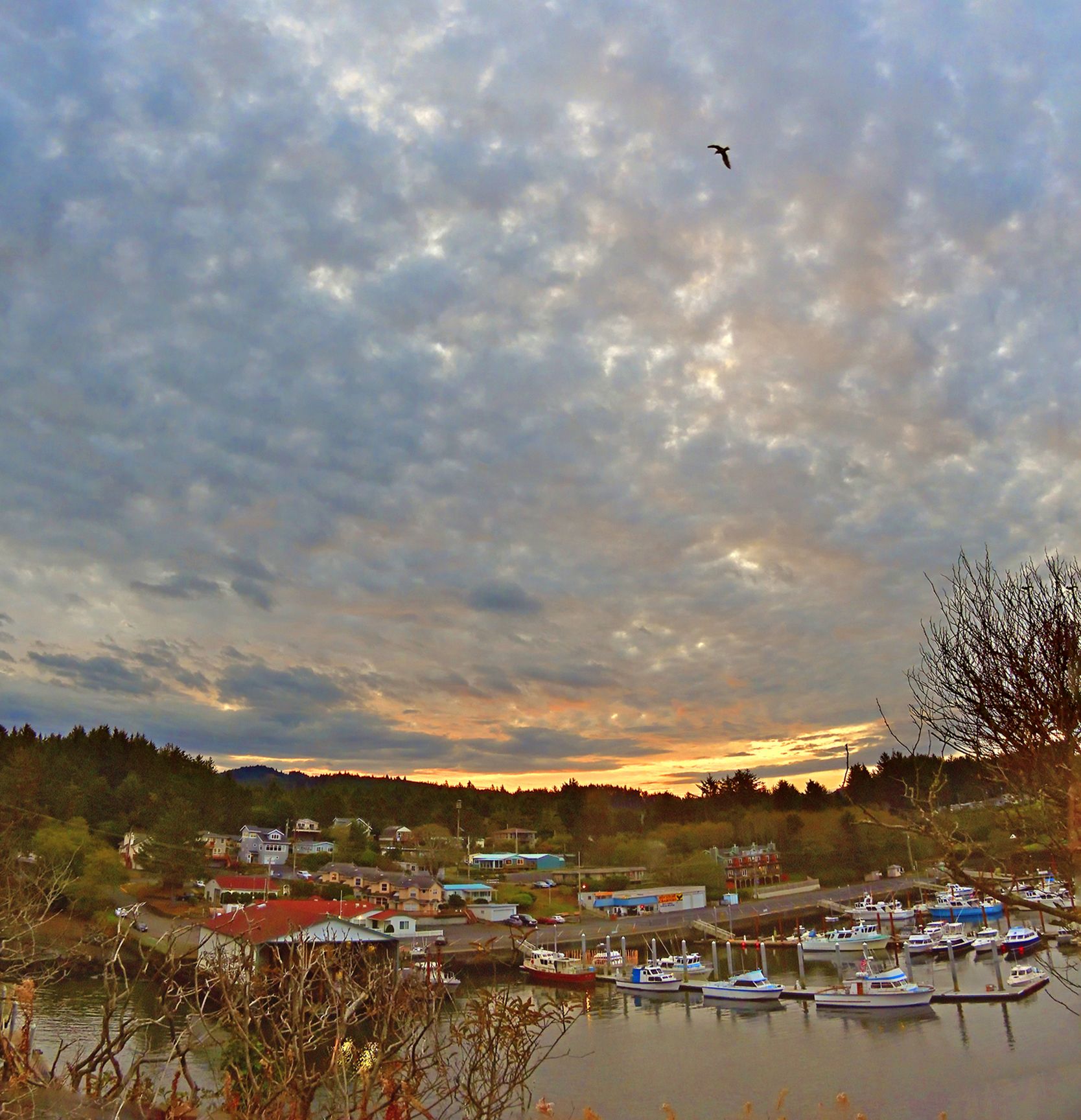 Community photo entitled  by Cecille Kennedy on 10/21/2021 at Depoe Bay Harbor, Oregon US