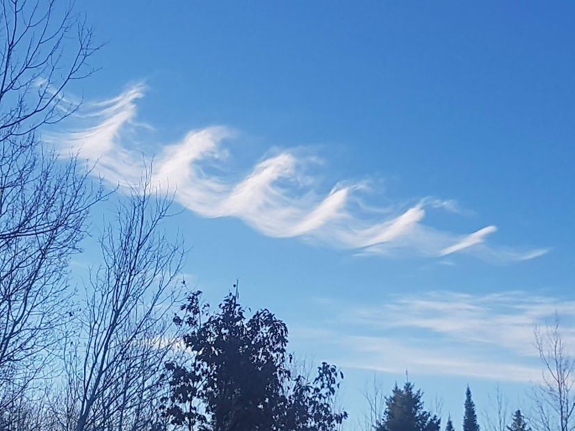 Community photo entitled  by storme van rassel on 11/03/2021 at Ruthergen, Ontario   Canada   46.228054° N, 79.042503° W