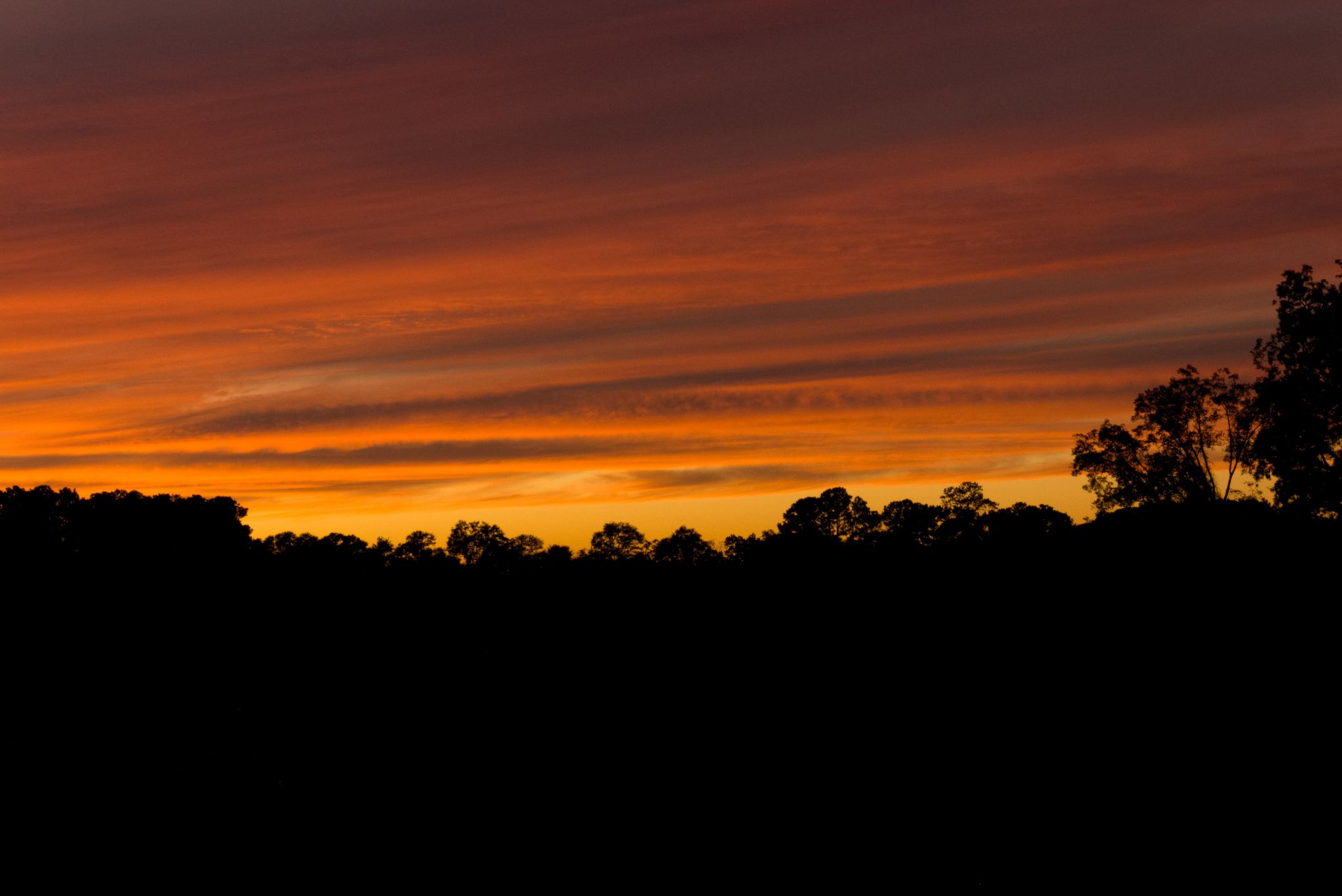 Community photo entitled  by Barry Medlin on 11/01/2021 at Hahira, GA