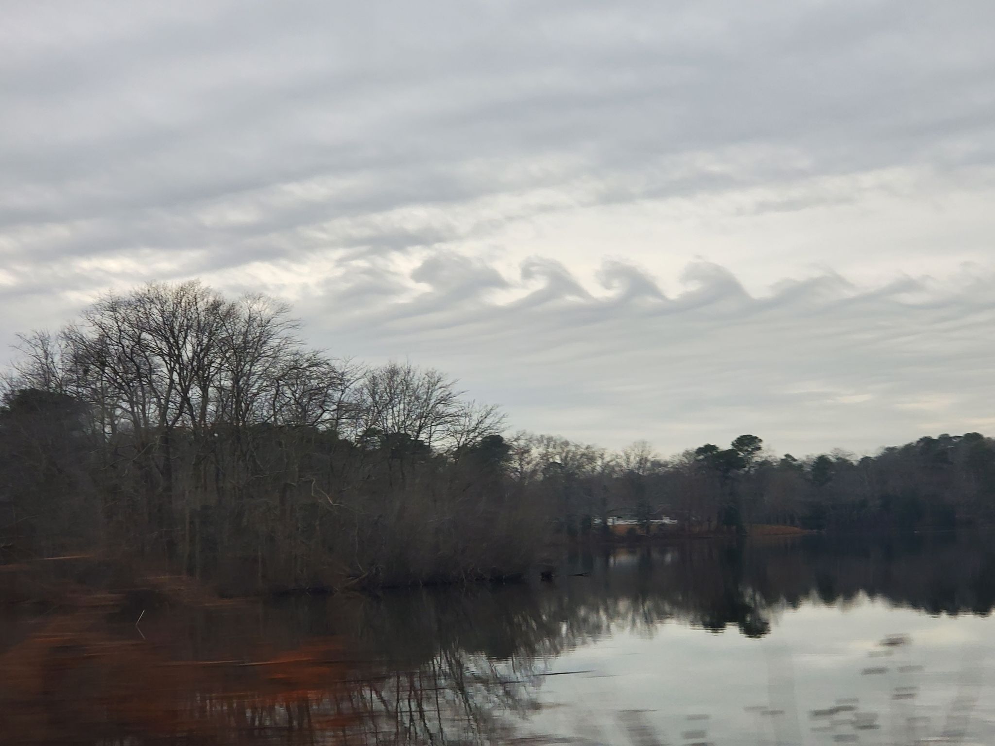 Community photo by Kelly Kitka | Millsboro, DE, USA