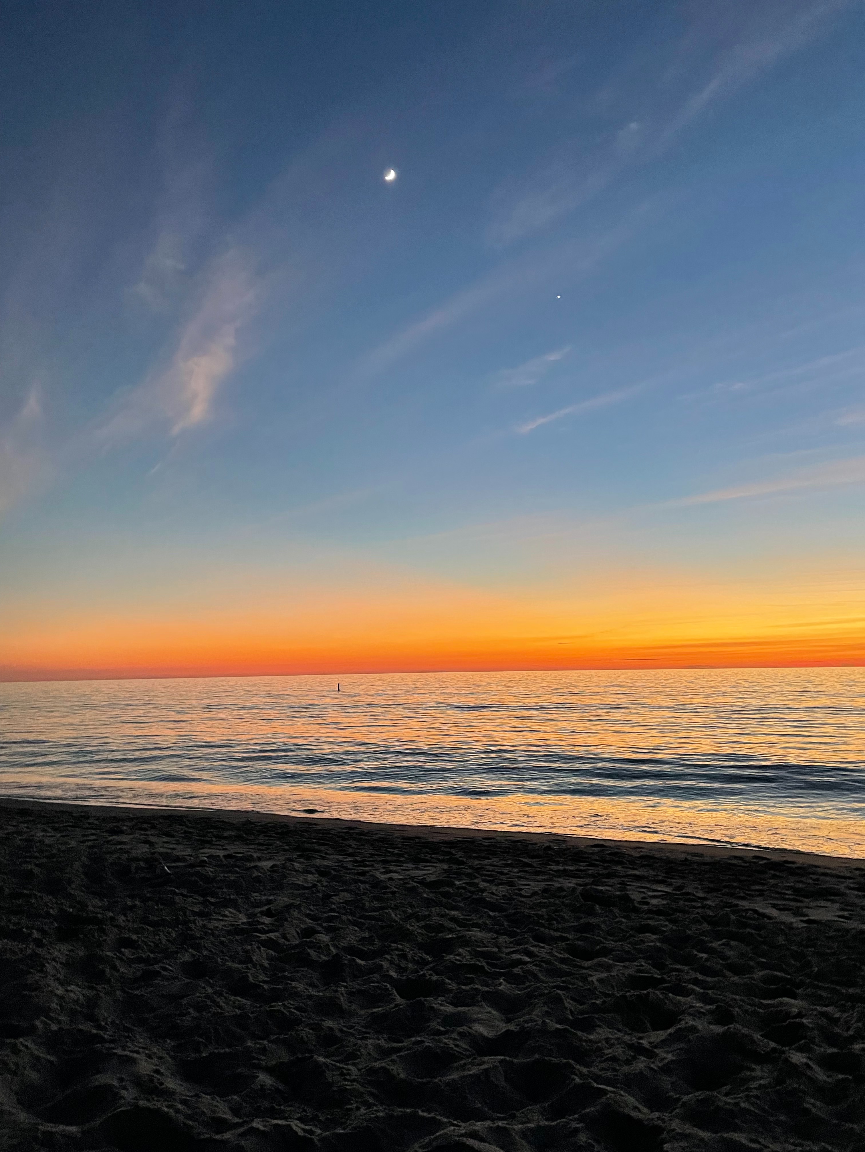 Community photo by Tommi DeMichael | Venice Beach, FL