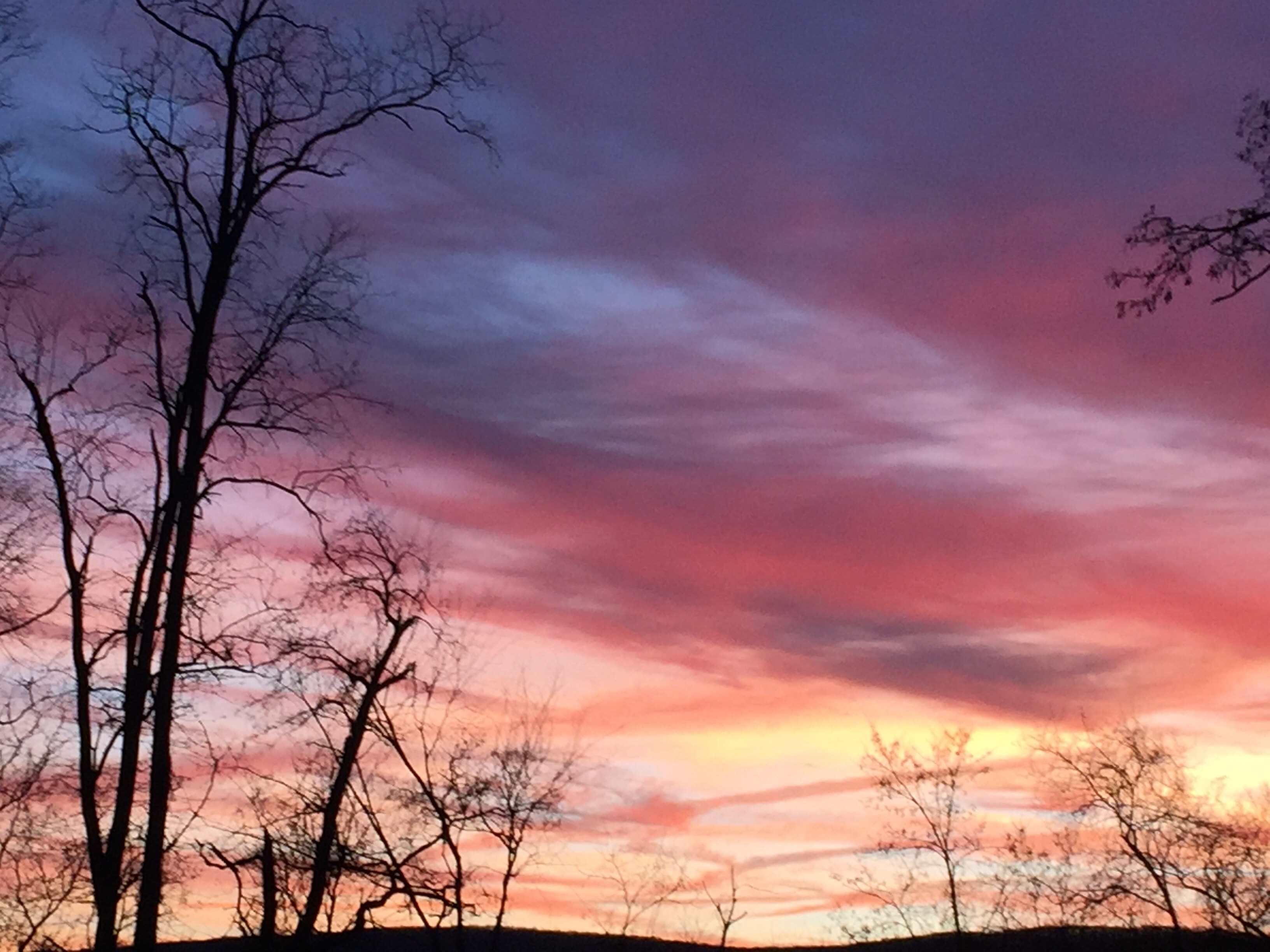 Community photo by Sudhir Sharma | Stormville, NY