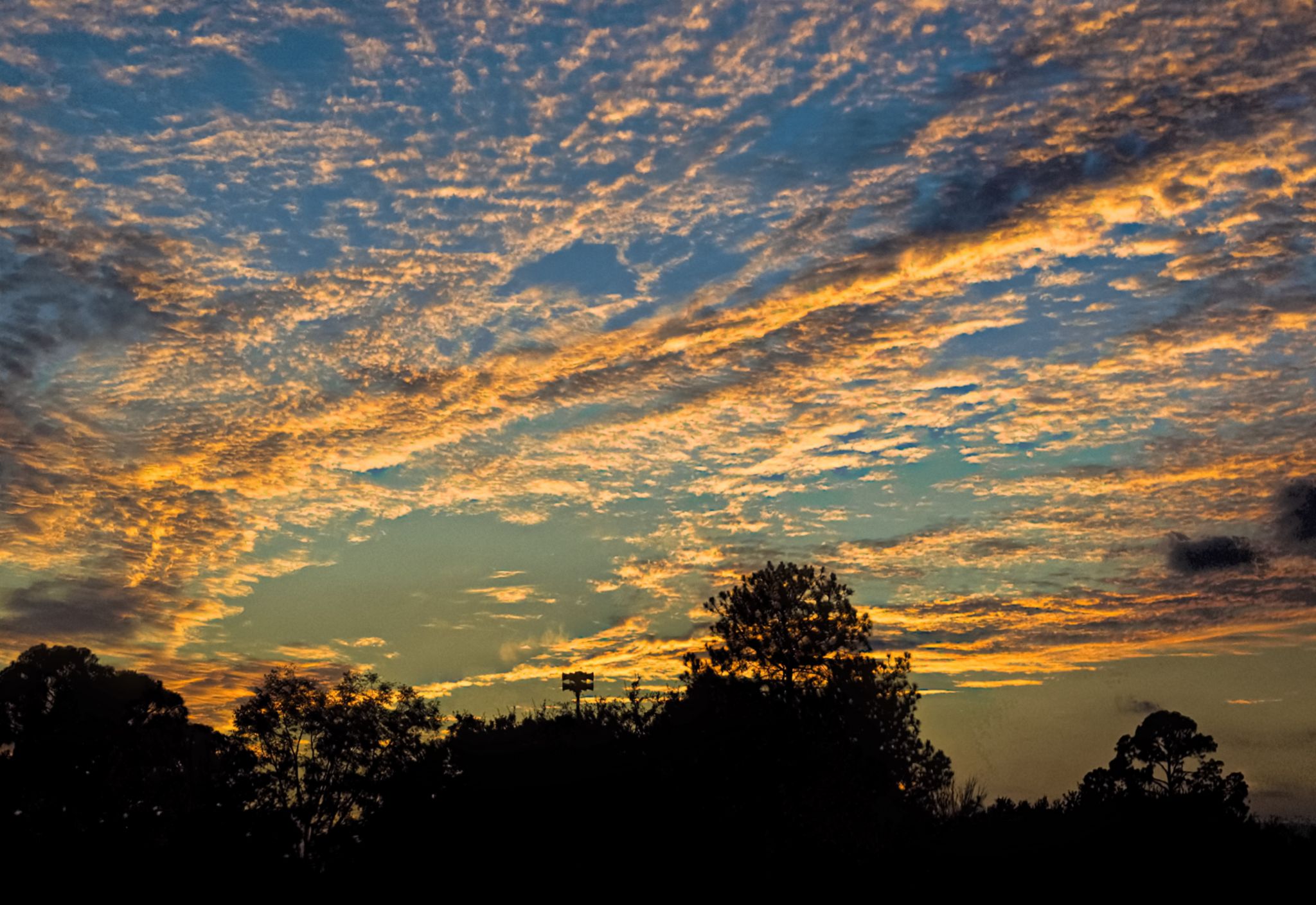 Community photo entitled  by Barry Medlin on 12/04/2021 at Moody Air Force Base, GA