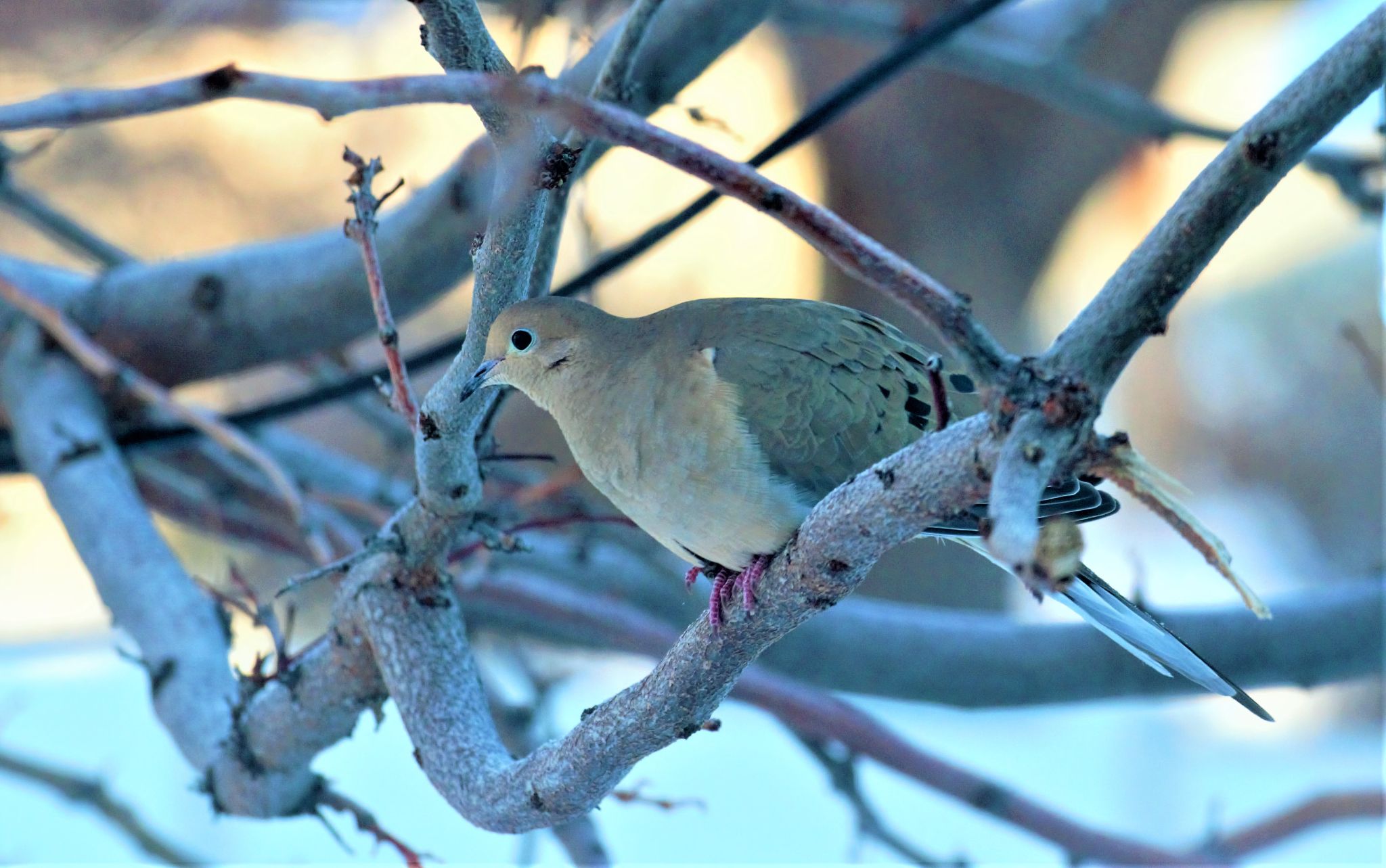 Community photo entitled  by Steve Price on 12/19/2021 at Draper, UT USA