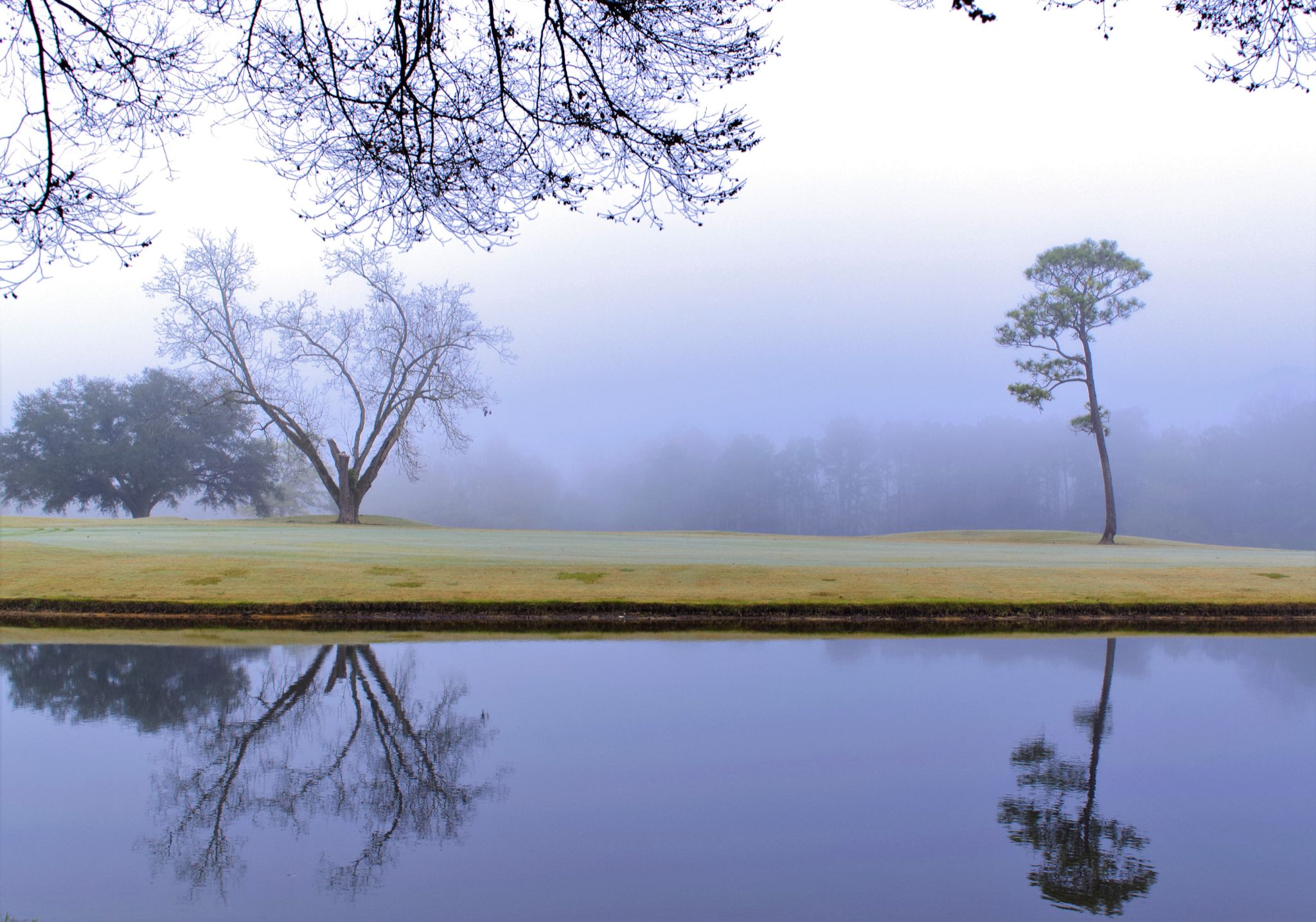 Community photo entitled  by Barry Medlin on 12/26/2021 at Valdosta, GA