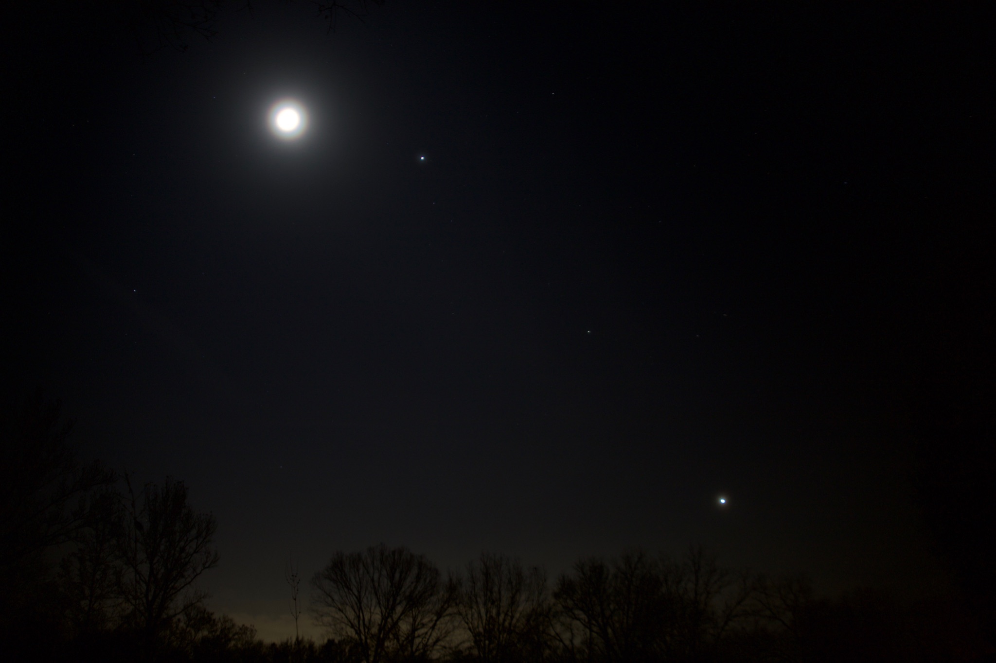 Community photo entitled  by Jeremy Miller on 12/09/2021 at Nacogdoches, Texas, USA