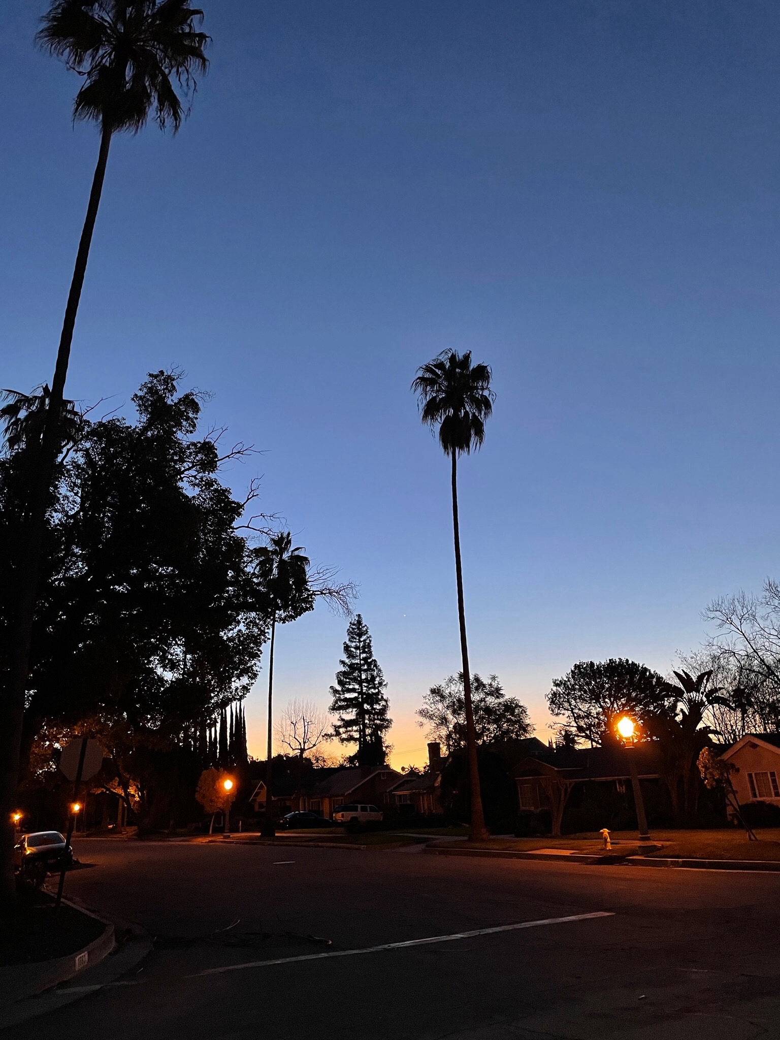 Community photo by France White | Pasadena, California