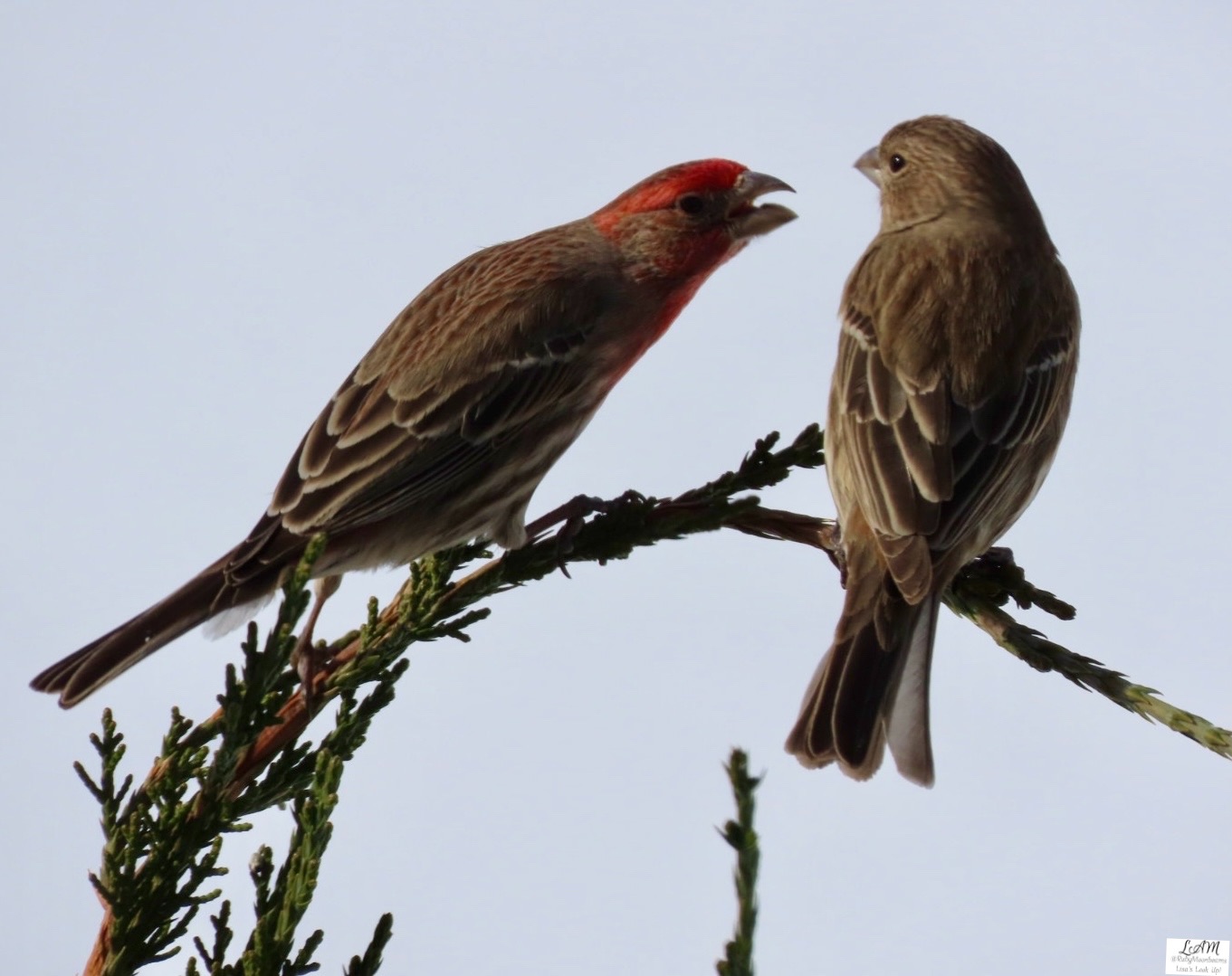 Community photo entitled  by Lisa Ann Fanning on 01/31/2022 at Monmouth County, NJ