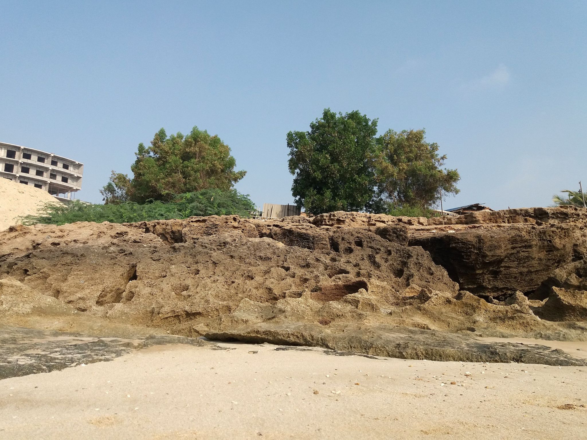 Community photo entitled  by Hassan Dadashi . arani on 01/21/2022 at Qeshm . Iran