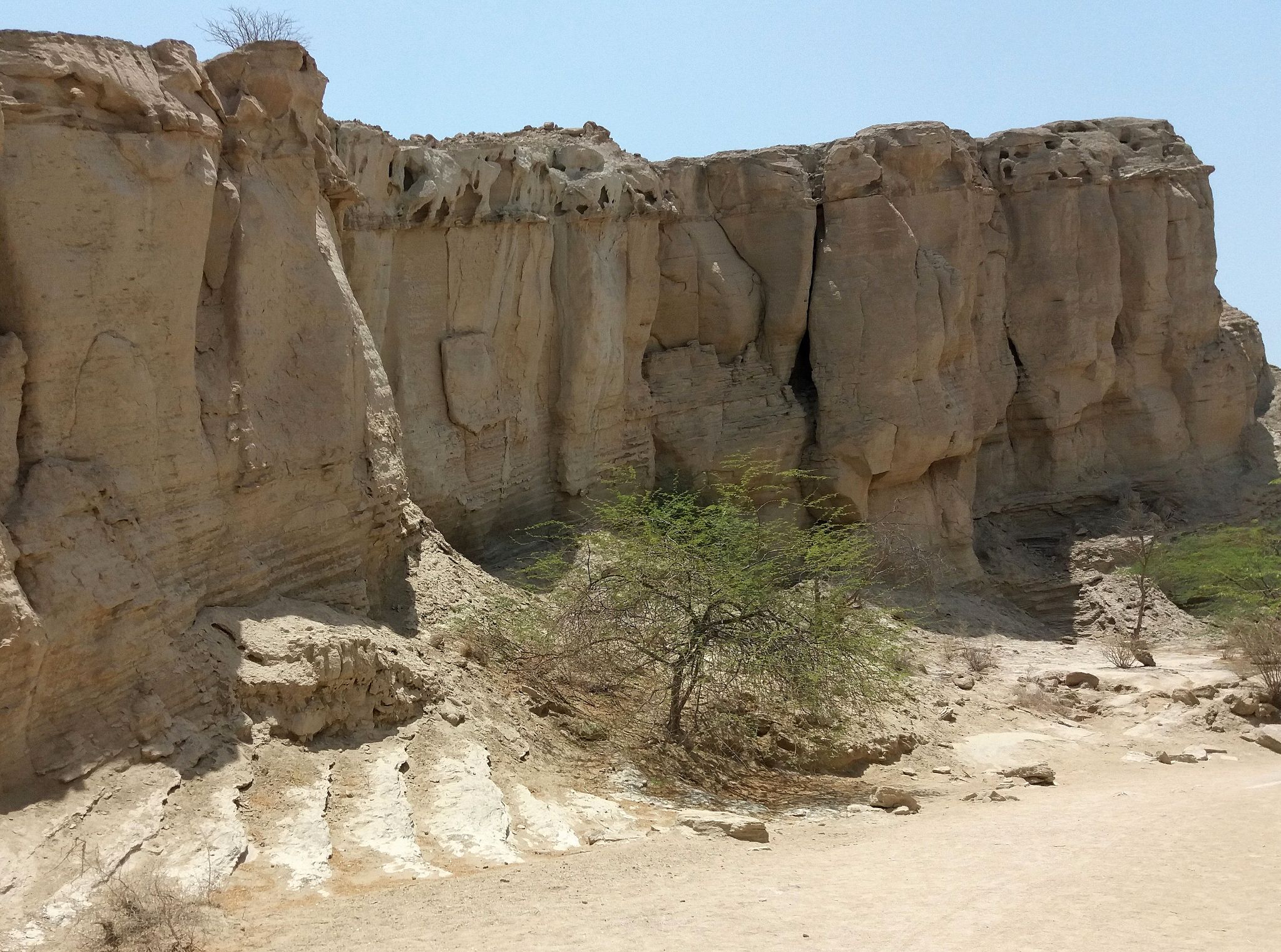 Community photo by Hassan Dadashi . arani | Qeshm . Iran