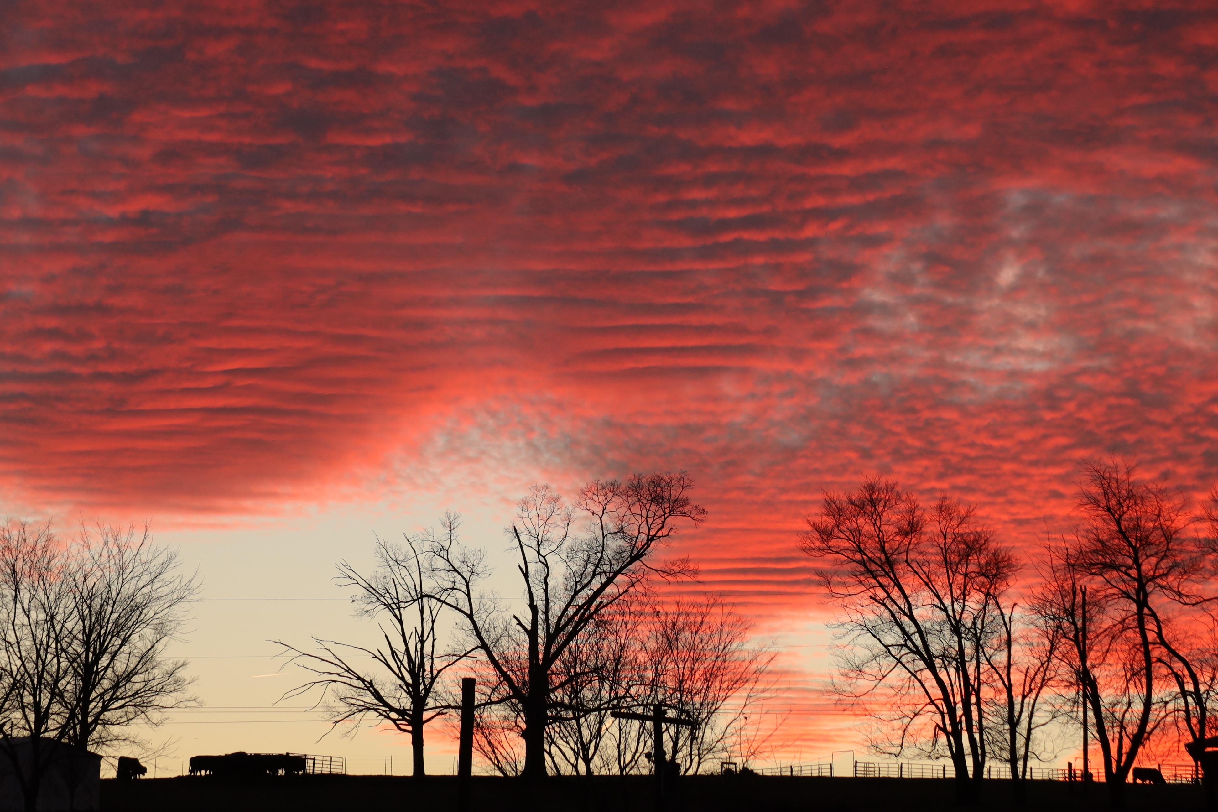 Community photo entitled  by Brenda Peterson on 01/05/2022 at Hamptonville NC US