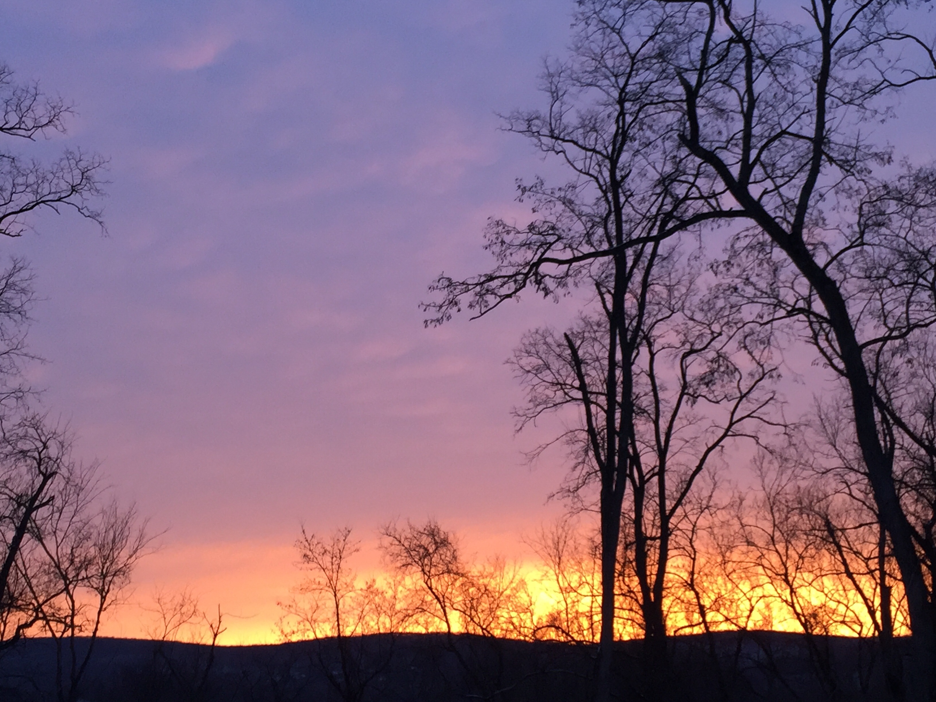 Community photo entitled  by Sudhir Sharma on 01/23/2022 at Stormville, NY