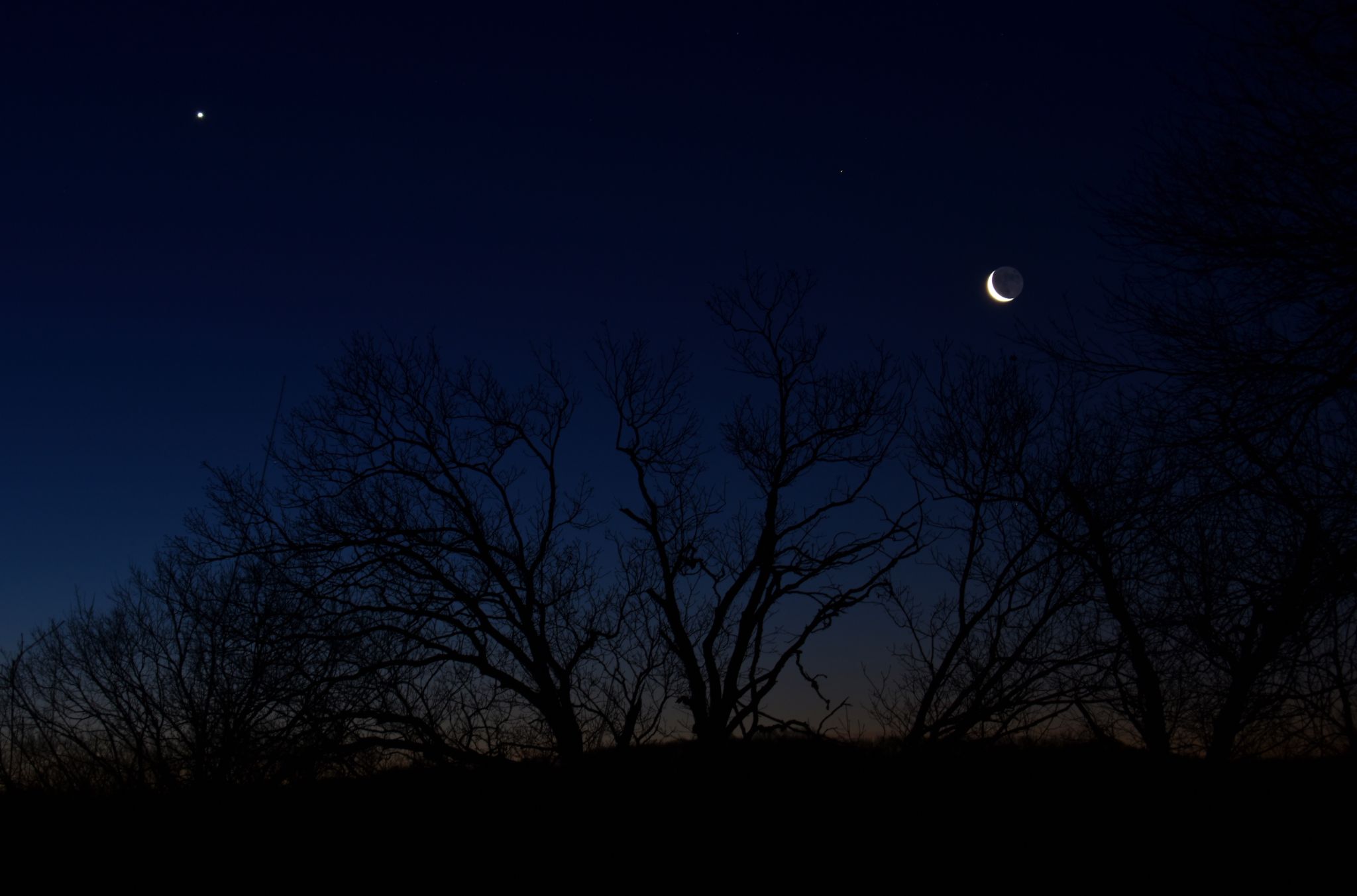 Community photo entitled  by Steve Pierce on 01/29/2022 at Douglas County, Kansas USA