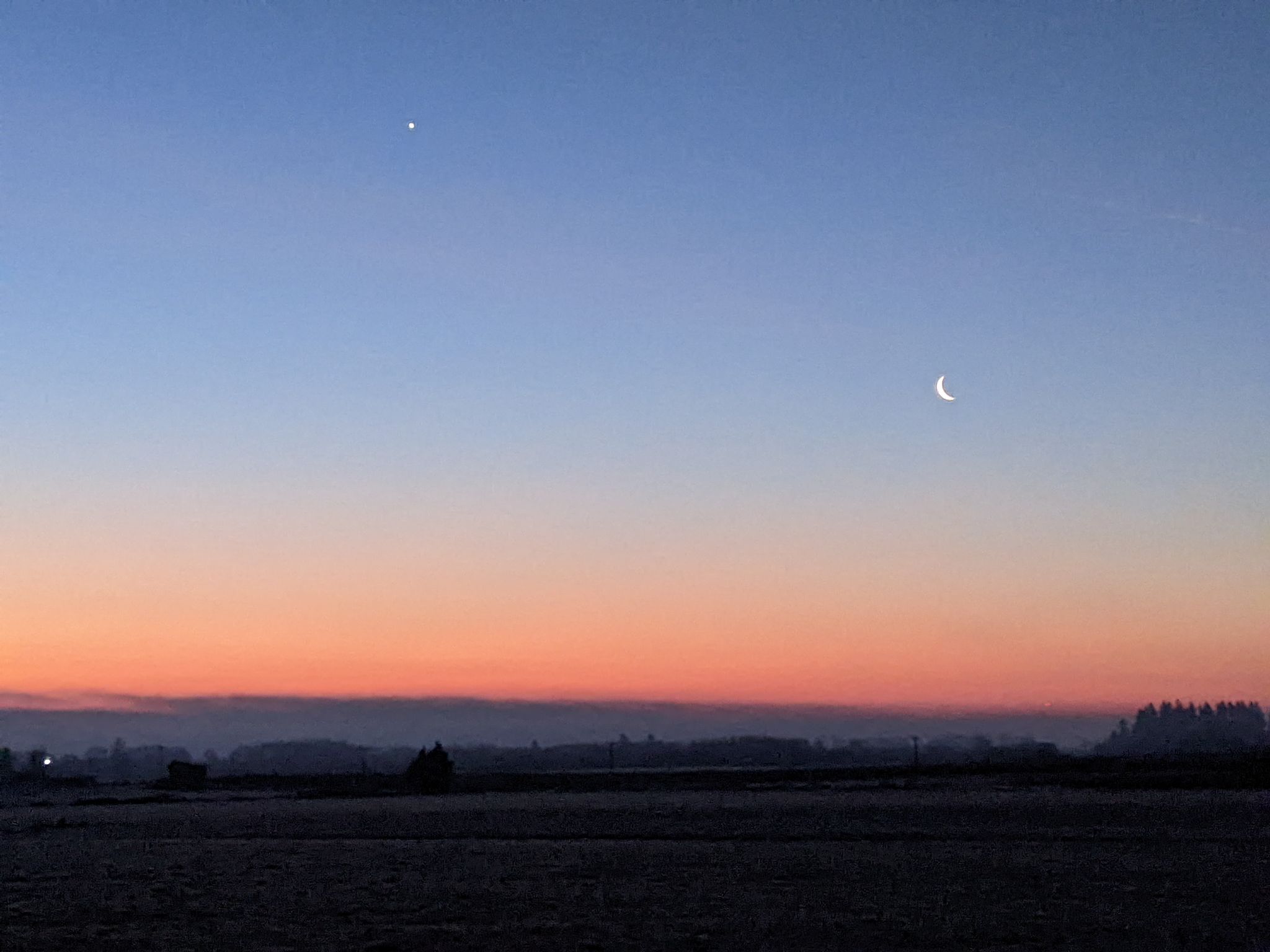 Community photo by Cindy Davis | near Junction City, Oregon