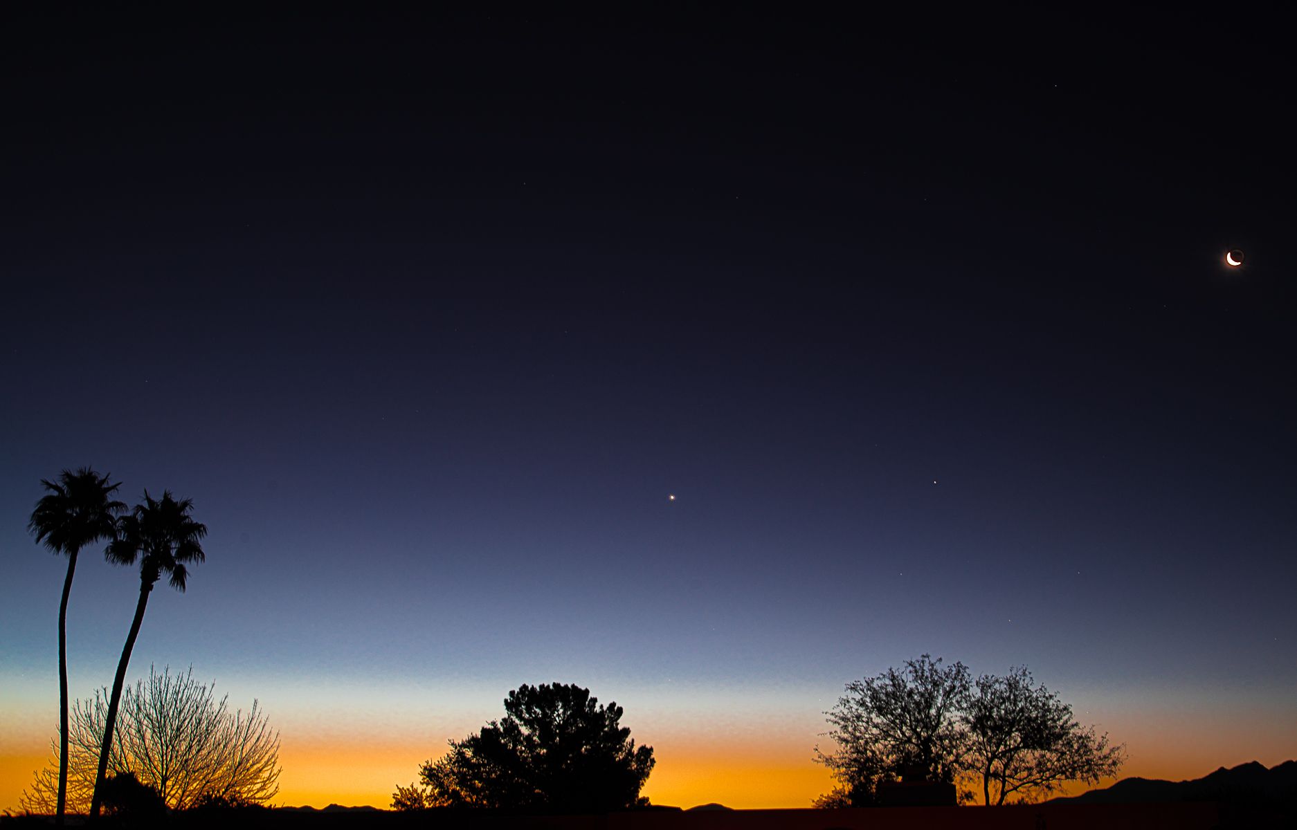 Community photo entitled  by Gary Peltz on 01/28/2022 at Green Valley, AZ USA