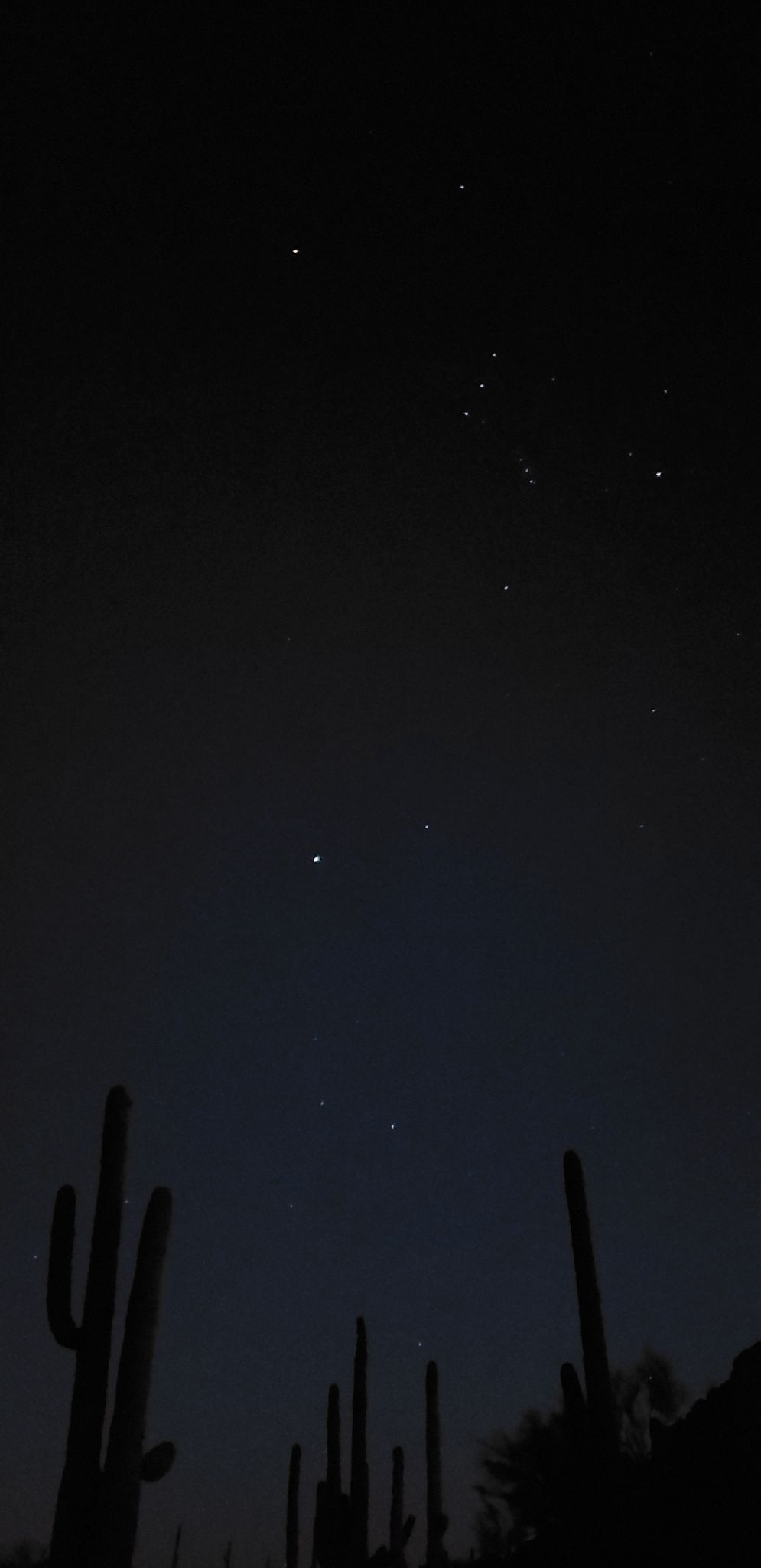 Community photo entitled  by Lainie Levick on 02/19/2022 at Ironwood Forest National Monument, Arizona