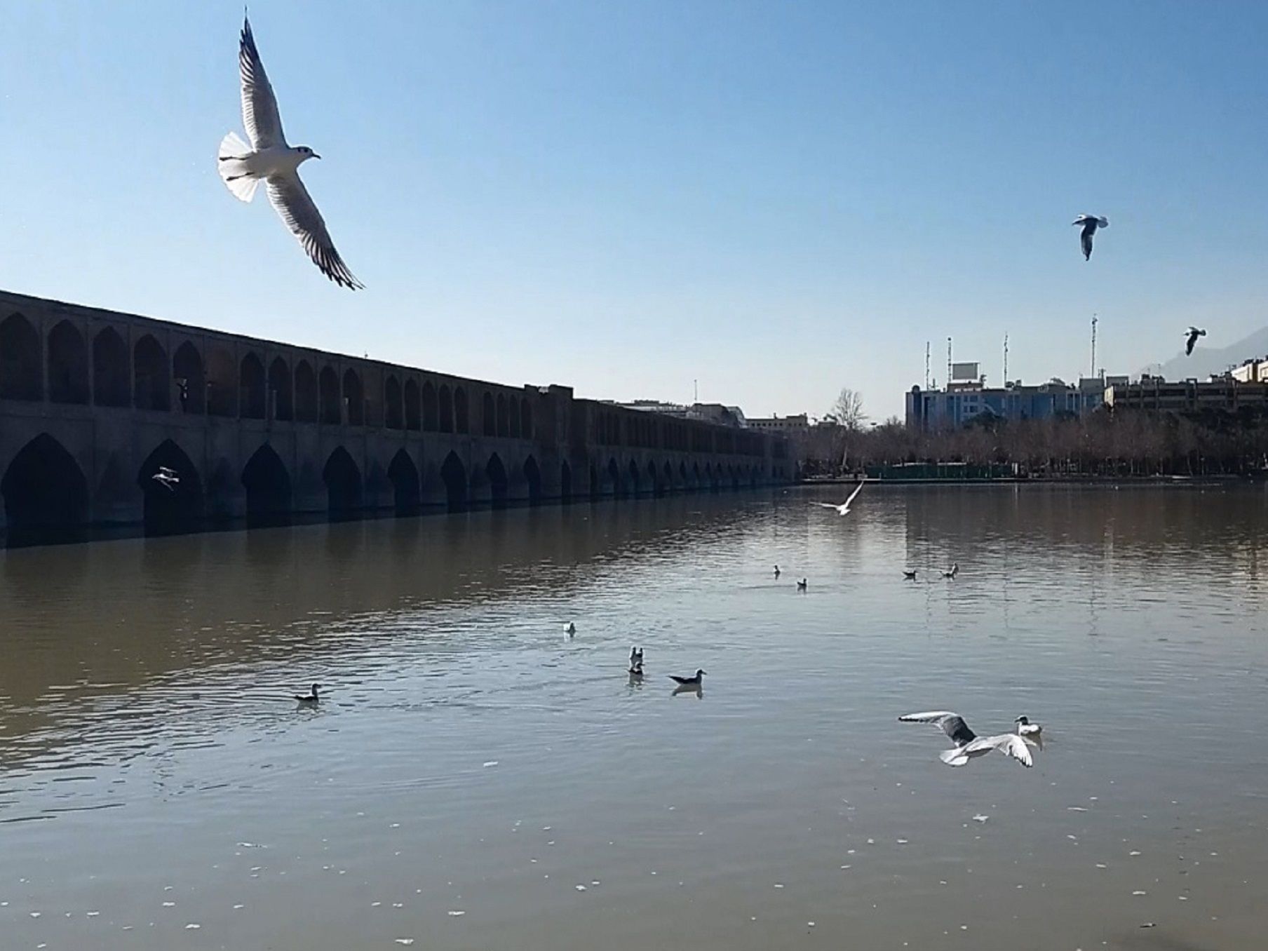 Community photo entitled  by Hassan Dadashi . arani on 02/12/2022 at Esfahan.iran