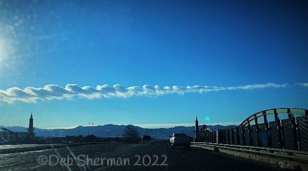 Community photo entitled  by Deb Sherman on 02/08/2022 at Westminster, CO, USA