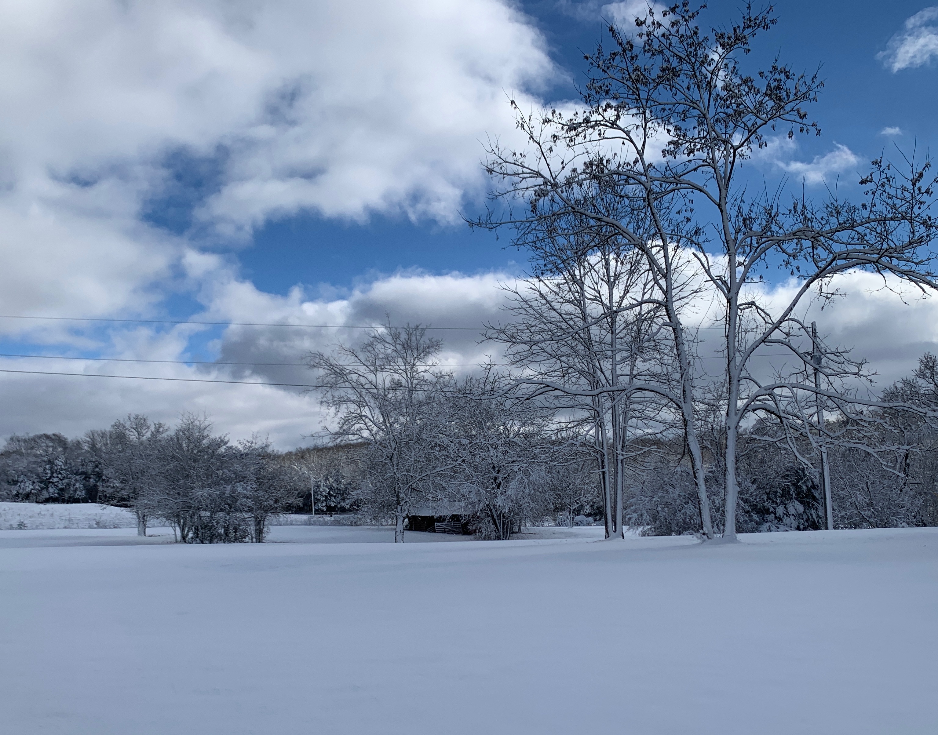 Community photo entitled  by Charlotte Austin on 01/03/2022 at Readyville,TN USA