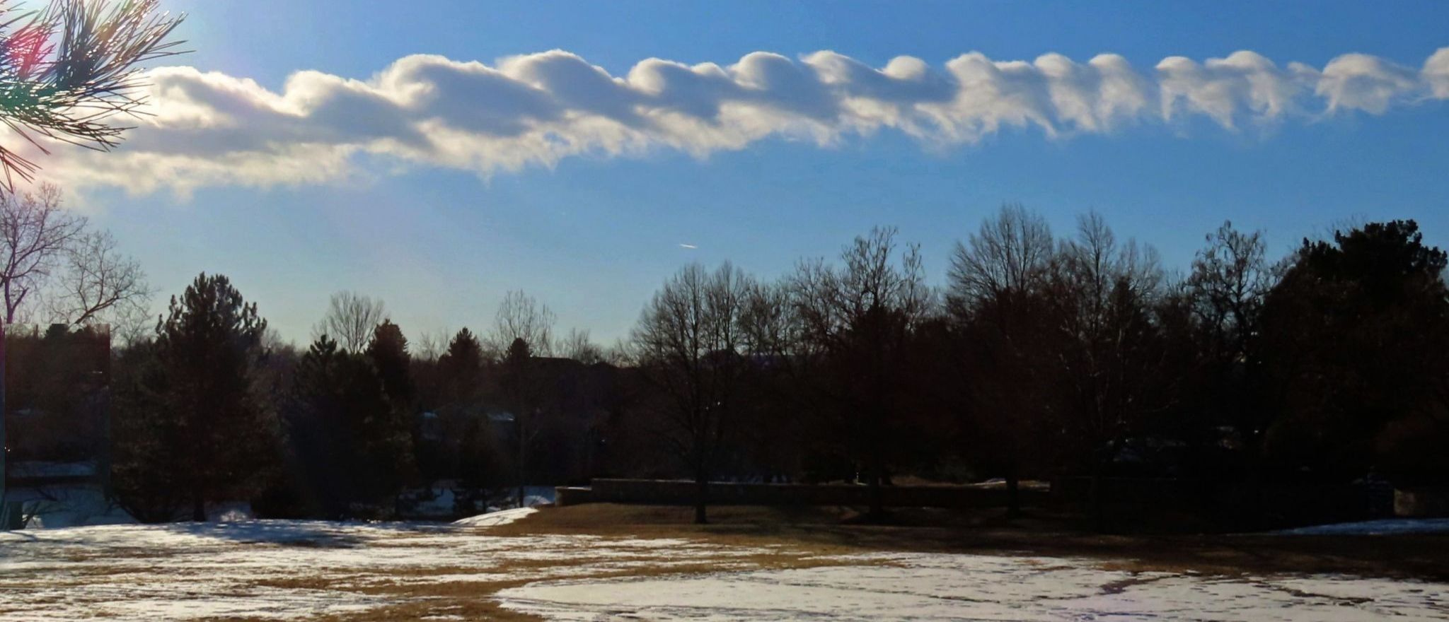 Community photo by Carol Weir | Arvada, Colorado