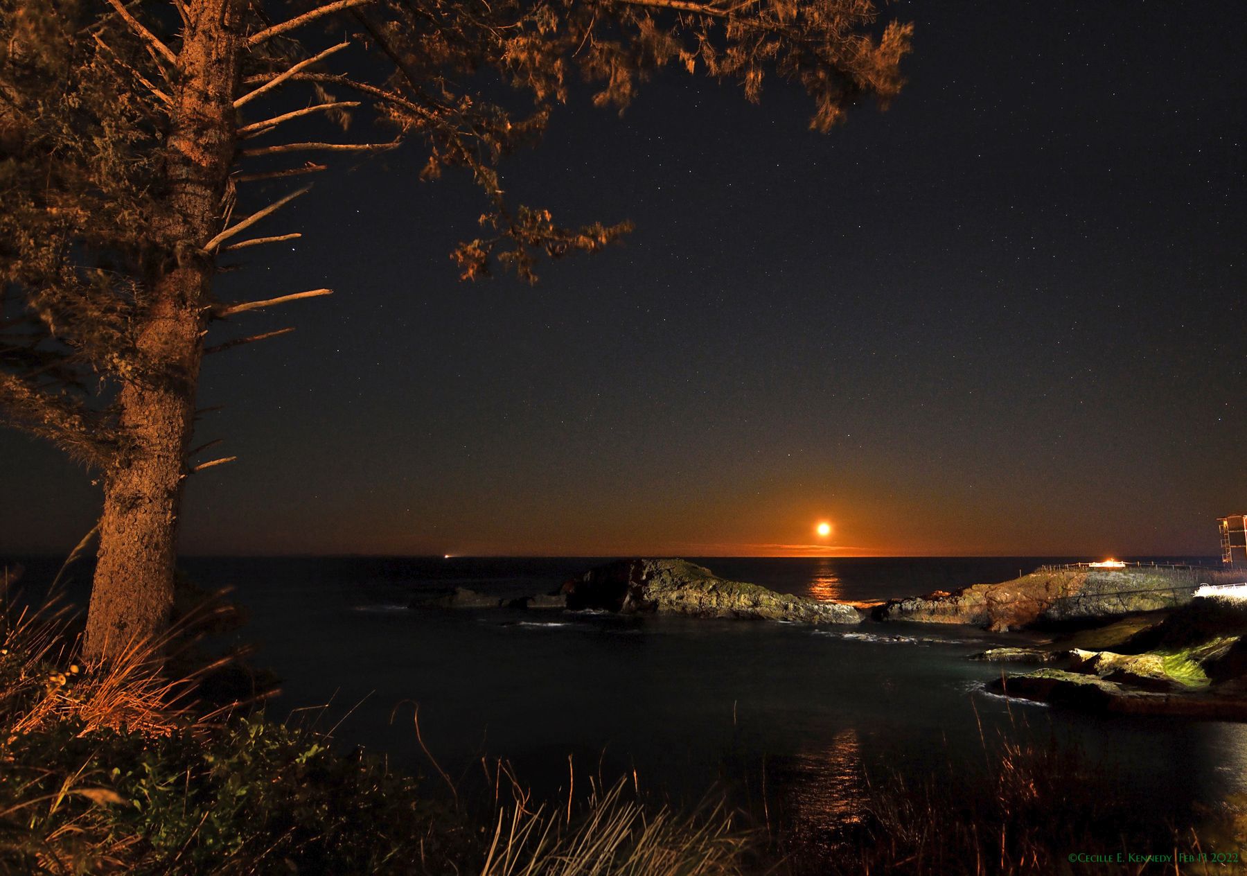 Community photo entitled  by Cecille Kennedy on 02/13/2022 at Pirate Cove Oregon Coast Oregon US