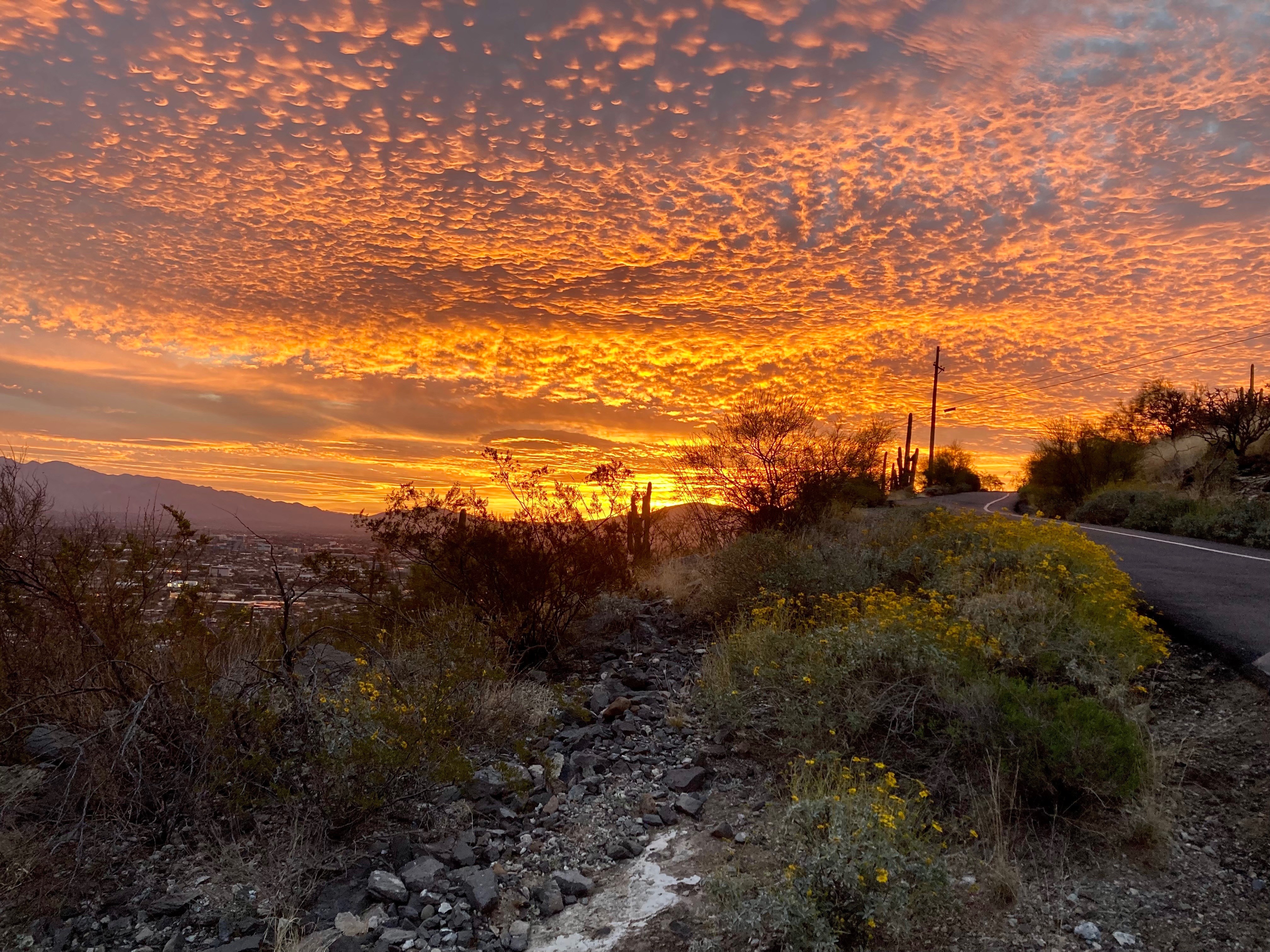 Community photo by Ron Kovatch | Tucson,AZ