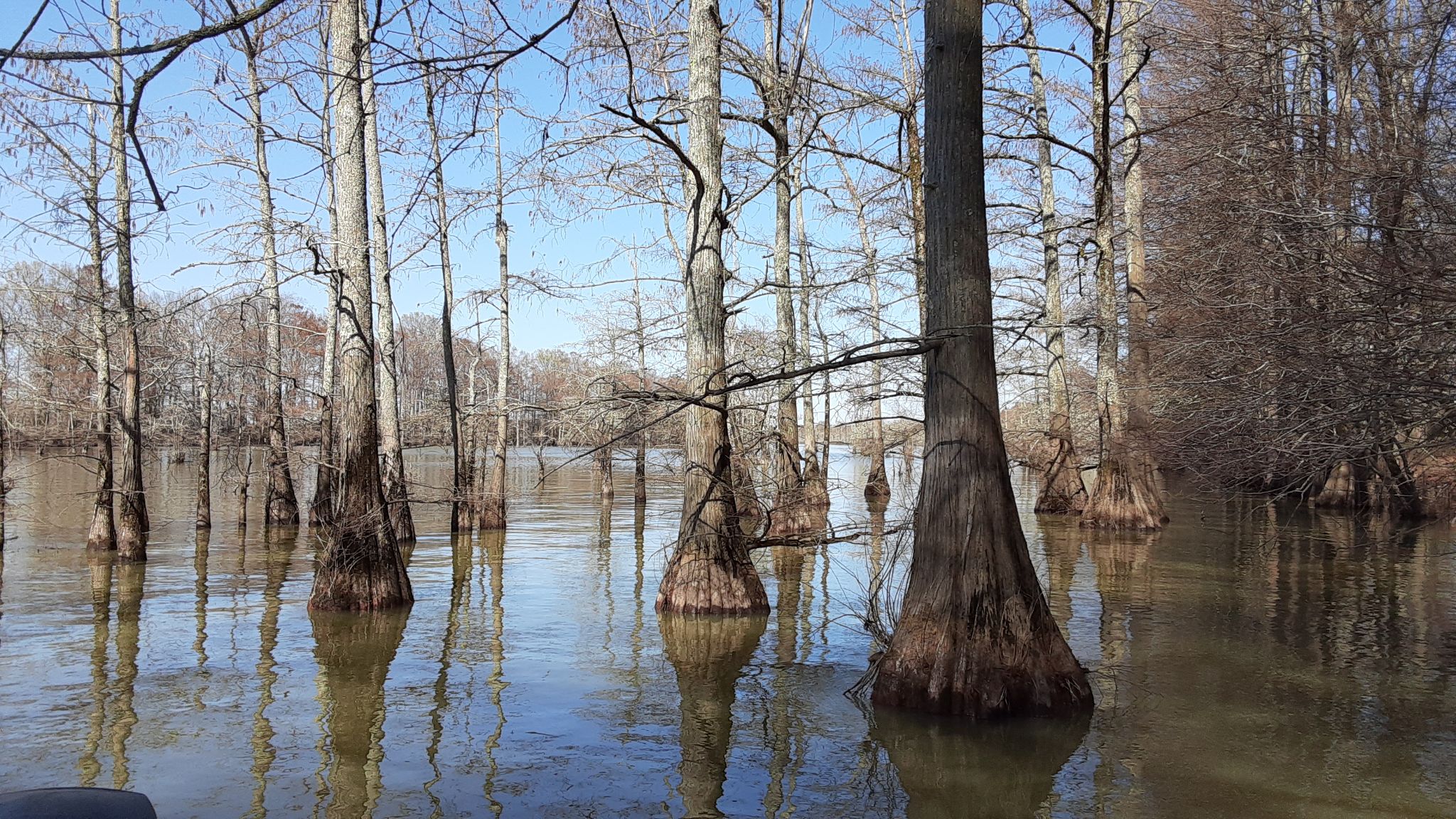 Community photo entitled  by Retha Sawyer on 03/20/2022 at Lake Wallace, Dermot, AR, USA