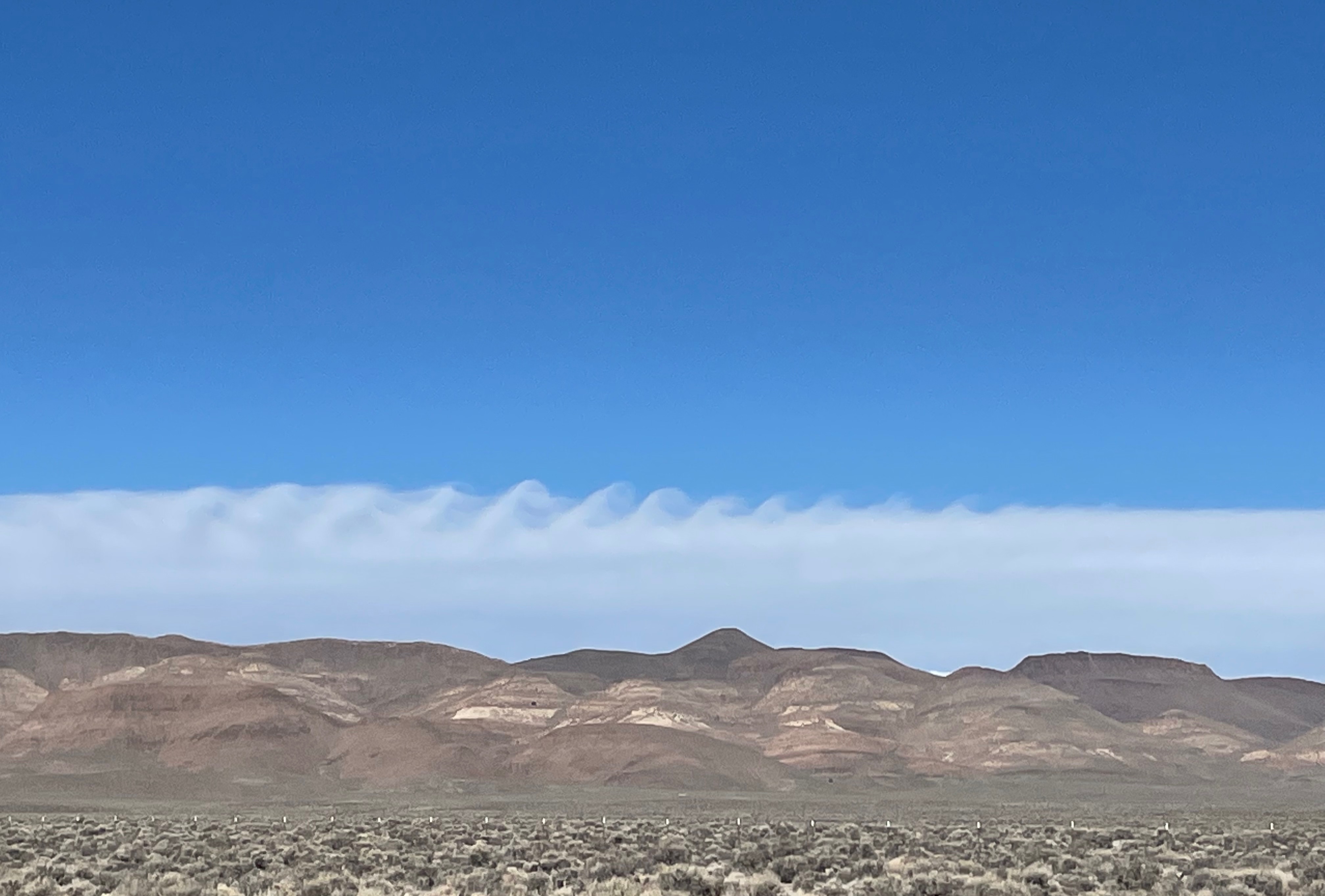 Community photo by Diane Morrell | Middle of Nevada somewhere