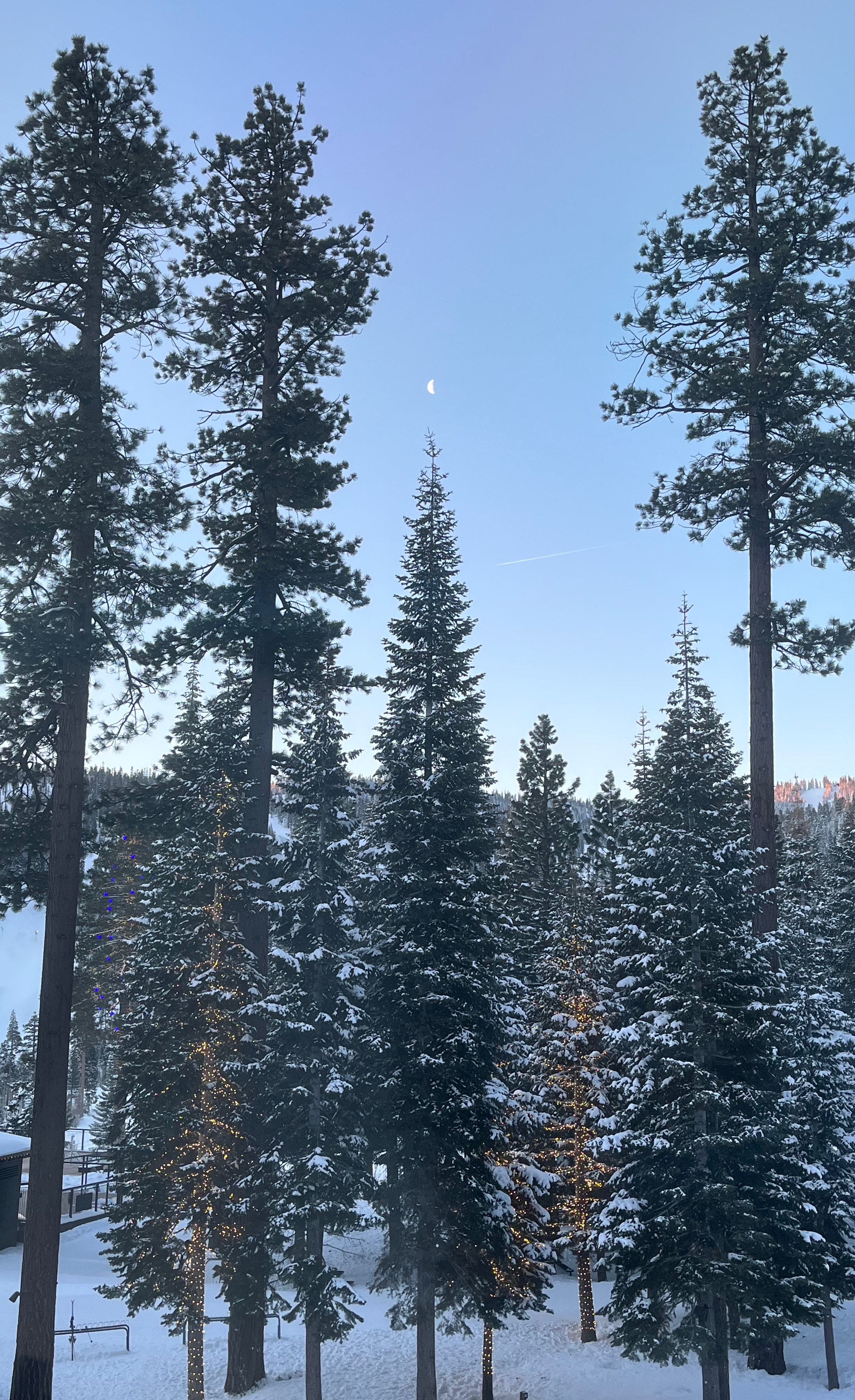 Community photo entitled  by Linda Barbera on 02/24/2022 at Truckee, California, United States